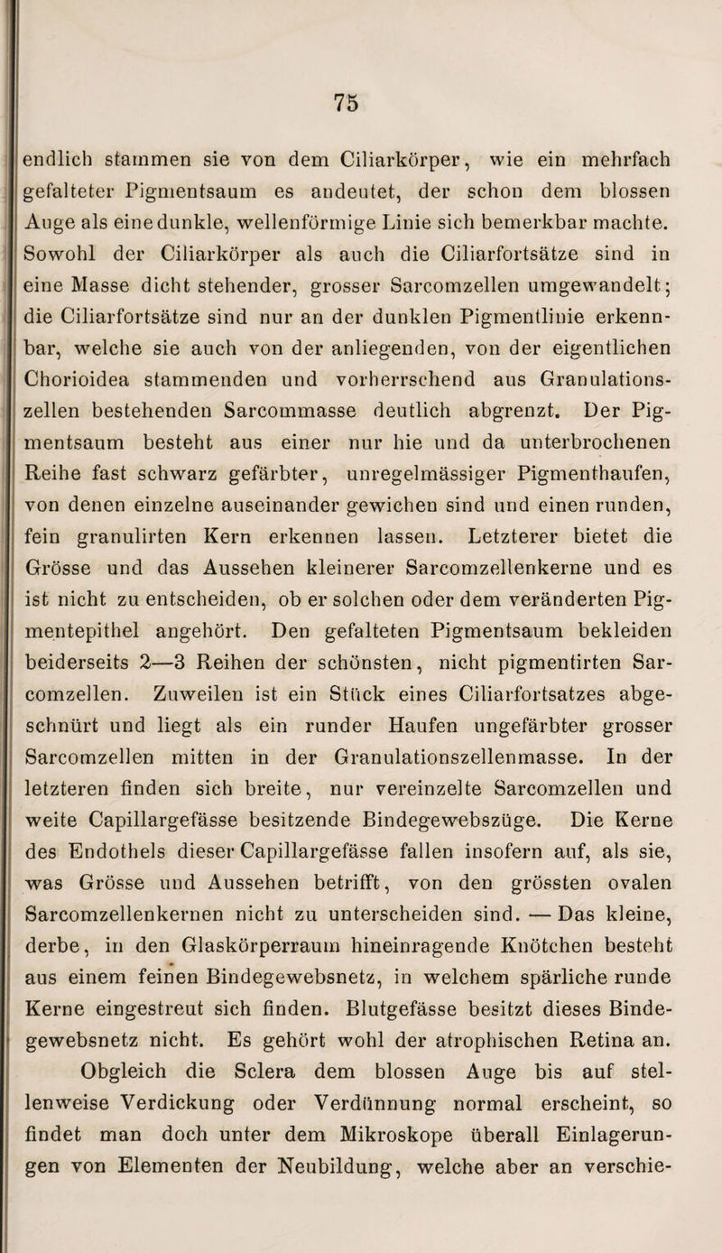 endlich stammen sie von dem Ciliarkörper, wie ein mehrfach gefalteter Pigmentsaum es andeutet, der schon dem blossen Auge als eine dunkle, wellenförmige Linie sich bemerkbar machte. Sowohl der Ciliarkörper als auch die Ciliarfortsätze sind in eine Masse dicht stehender, grosser Sarcomzellen umgewandelt; die Ciliarfortsätze sind nur an der dunklen Pigmentlinie erkenn¬ bar, welche sie auch von der anliegenden, von der eigentlichen Chorioidea stammenden und vorherrschend aus Granulations¬ zellen bestehenden Sarcommasse deutlich abgrenzt. Der Pig¬ mentsaum besteht aus einer nur hie und da unterbrochenen Reihe fast schwarz gefärbter, unregelmässiger Pigmenthaufen, von denen einzelne auseinander gewichen sind und einen runden, fein granulirten Kern erkennen lassen. Letzterer bietet die Grösse und das Aussehen kleinerer Sarcomzellenkerne und es ist nicht zu entscheiden, ob er solchen oder dem veränderten Pig¬ mentepithel angehört. Den gefalteten Pigmentsaum bekleiden beiderseits 2—3 Reihen der schönsten, nicht pigmentirten Sar¬ comzellen. Zuweilen ist ein Stück eines Ciliarfortsatzes abge¬ schnürt und liegt als ein runder Haufen ungefärbter grosser Sarcomzellen mitten in der Granulationszellenmasse. In der letzteren finden sich breite, nur vereinzelte Sarcomzellen und weite Capillargefässe besitzende Bindegewebszüge. Die Kerne des Endothels dieser Capillargefässe fallen insofern auf, als sie, was Grösse und Aussehen betrifft, von den grössten ovalen Sarcomzellenkernen nicht zu unterscheiden sind.—Das kleine, derbe, in den Glaskörperraum hineinragende Knötchen besteht aus einem feinen Bindegewebsnetz, in welchem spärliche runde Kerne eingestreut sich finden. Blutgefässe besitzt dieses Binde¬ gewebsnetz nicht. Es gehört wohl der atrophischen Retina an. Obgleich die Sclera dem blossen Auge bis auf stel¬ lenweise Verdickung oder Verdünnung normal erscheint, so findet man doch unter dem Mikroskope überall Einlagerun¬ gen von Elementen der Neubildung, welche aber an verschie-
