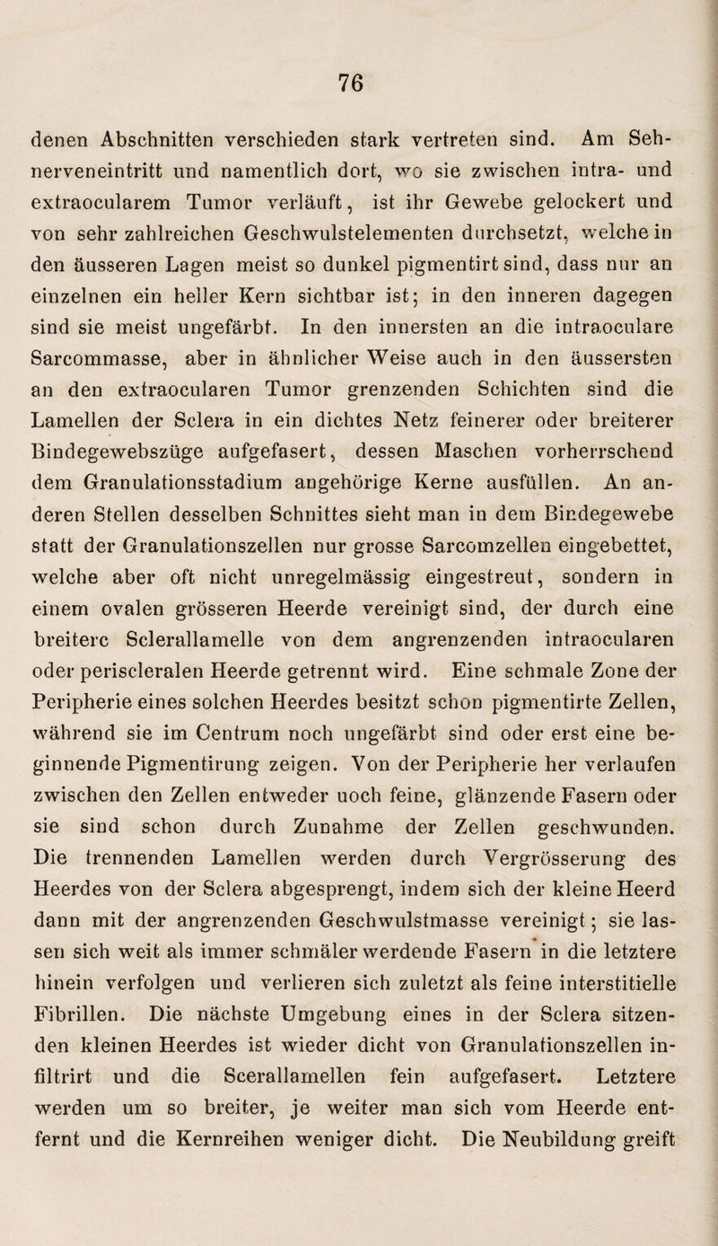 denen Abschnitten verschieden stark vertreten sind. Am Seh¬ nerveneintritt und namentlich dort, wo sie zwischen intra- und extraocularem Tumor verläuft, ist ihr Gewebe gelockert und von sehr zahlreichen Geschwulstelementen durchsetzt, weichein den äusseren Lagen meist so dunkel pigmentirt sind, dass nur an einzelnen ein heller Kern sichtbar ist; in den inneren dagegen sind sie meist ungefärbt. In den innersten an die intraoculare Sarcommasse, aber in ähnlicher Weise auch in den äussersten an den extraocularen Tumor grenzenden Schichten sind die Lamellen der Sclera in ein dichtes Netz feinerer oder breiterer Bindegewebszüge aufgefasert, dessen Maschen vorherrschend dem Granulationsstadium angehörige Kerne ausfüllen. An an¬ deren Stellen desselben Schnittes sieht man in dem Bindegewebe statt der Granulationszellen nur grosse Sarcomzellen eingebettet, welche aber oft nicht unregelmässig eingestreut, sondern in einem ovalen grösseren Heerde vereinigt sind, der durch eine breitere Sclerallamelle von dem angrenzenden intraoeularen oder periscleralen Heerde getrennt wird. Eine schmale Zone der Peripherie eines solchen Heerdes besitzt schon pigmentirte Zellen, während sie im Centrum noch ungefärbt sind oder erst eine be¬ ginnende Pigmentirung zeigen. Von der Peripherie her verlaufen zwischen den Zellen entweder uoch feine, glänzende Fasern oder sie sind schon durch Zunahme der Zellen geschwunden. Die trennenden Lamellen werden durch Yergrösserung des Heerdes von der Sclera abgesprengt, indem sich der kleine Heerd dann mit der angrenzenden Geschwulstmasse vereinigt ; sie las- sen sich weit als immer schmäler werdende Fasern in die letztere hinein verfolgen und verlieren sich zuletzt als feine interstitielle Fibrillen. Die nächste Umgebung eines in der Sclera sitzen¬ den kleinen Heerdes ist wieder dicht von Granulationszellen in- filtrirt und die Scerallamellen fein aufgefasert. Letztere werden um so breiter, je weiter man sich vom Heerde ent¬ fernt und die Kernreihen weniger dicht. Die Neubildung greift
