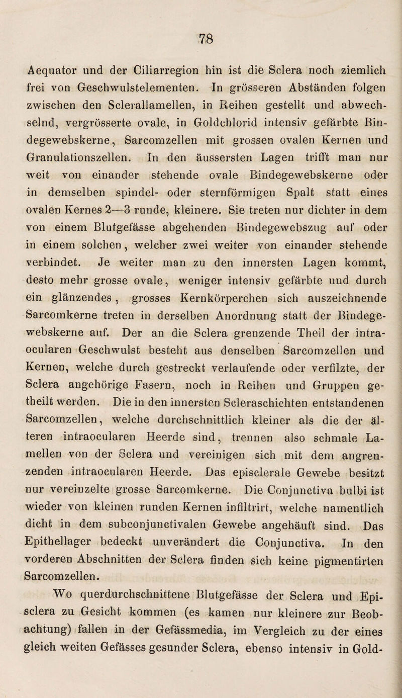 Aequator und der Ciliarregion hin ist die Sclera noch ziemlich frei von Geschwulstelementen. In grösseren Abständen folgen zwischen den Sclerallamellen, in Reihen gestellt und abwech¬ selnd, vergrösserte ovale, in Goldchlorid intensiv gefärbte Bin- degewebskerne, Sarcomzellen mit grossen ovalen Kernen und Granulationszellen. In den äussersten Lagen trifft man nur weit von einander stehende ovale Bindegewebskerne oder in demselben spindel- oder sternförmigen Spalt statt eines ovalen Kernes 2—3 runde, kleinere. Sie treten nur dichter in dem von einem Blutgefässe abgehenden Bindegewebszug auf oder in einem solchen, welcher zwei weiter von einander stehende verbindet. Je weiter man zu den innersten Lagen kommt, desto mehr grosse ovale, weniger intensiv gefärbte und durch ein glänzendes , grosses Kernkörperchen sich auszeichnende Sarcomkerne treten in derselben Anordnung statt der Bindege¬ webskerne auf. Der an die Sclera grenzende Theil der intra- ocularen Geschwulst besteht aus denselben Sarcomzellen und Kernen, welche durch gestreckt verlaufende oder verfilzte, der Sclera angehörige Fasern, noch in Reihen und Gruppen ge- theilt werden. Die in den innersten Scleraschichten entstandenen Sarcomzellen, welche durchschnittlich kleiner als die der äl¬ teren intraocularen Heerde sind, trennen also schmale La¬ mellen von der Sclera und vereinigen sich mit dem angren¬ zenden intraocularen Heerde. Das episclerale Gewebe besitzt nur vereinzelte grosse Sarcomkerne. Die Conjunctiva bulbi ist wieder von kleinen runden Kernen infiltrirt, welche namentlich dicht in dem subconjunctivalen Gewebe angehäuft sind. Das Epithellager bedeckt unverändert die Conjunctiva. In den vorderen Abschnitten der Sclera finden sich keine pigmentirten Sarcomzellen. Wo querdurchschnittene Blutgefässe der Sclera und Epi- sclera zu Gesicht kommen (es kamen nur kleinere zur Beob¬ achtung) fallen in der Gefässmedia, im Vergleich zu der eines gleich weiten Gefässes gesunder Sclera, ebenso intensiv in Gold-