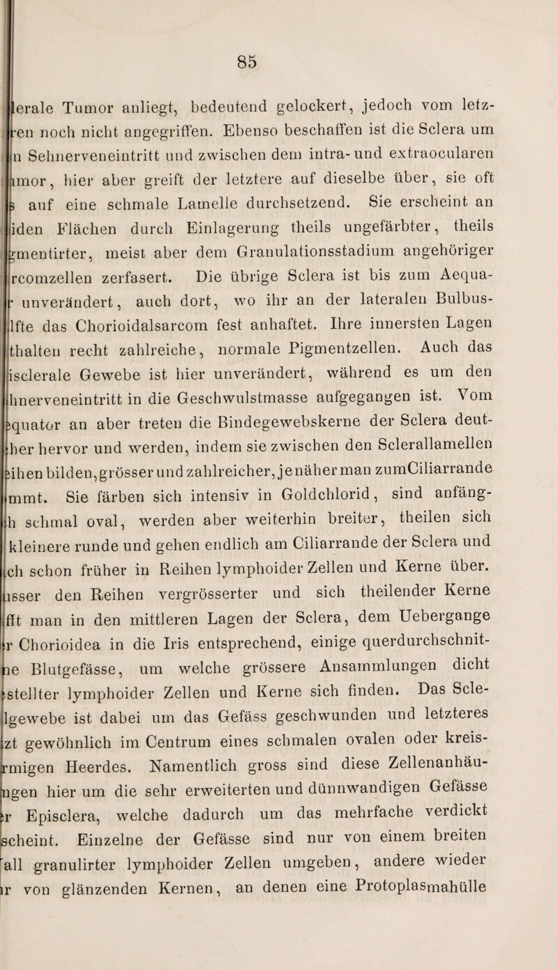 erale Tumor anliegt, bedeutend gelockert, jedoch vom letz- :en noch nicht angegriffen. Ebenso beschaffen ist die Sclera um n Sehnerveneintritt und zwischen dem intra-und extraocularen imor, hier aber greift der letztere auf dieselbe über, sie oft k auf eine schmale Lamelle durchsetzend. Sie erscheint an (iden Flächen durch Einlagerung theils ungefärbter, theils gmentirter, meist aber dem Granulationsstadium angehöriger rcomzellen zerfasert. Die übrige Sclera ist bis zum Aequa- * unverändert, auch dort, wo ihr an der lateralen Bulbus- lfte das Chorioidalsarcom fest anhaftet. Ihre innersten Lagen thalten recht zahlreiche, normale Pigmentzellen. Auch das isclerale Gewebe ist hier unverändert, während es um den hnerveneintritt in die Geschwulstmasse aufgegangen ist. Vom iquator an aber treten die Bindegewebskerne der Sclera deut- her hervor und werden, indem siezwischen den Sclerallamellen iihen bilden,grösser und zahlreicher, jenäher man zumCiliarrande mmt. Sie färben sich intensiv in Goldchlorid, sind aofäng- h schmal oval, werden aber weiterhin breiter, theilen sich kleinere runde und gehen endlich am Ciliarrande der Sclera und ch schon früher in Reihen lymphoider Zellen und Kerne über, isser den Reihen vergrösserter und sich theilender Kerne fft man in den mittleren Lagen der Sclera, dem Uebergange r Chorioidea in die Iris entsprechend, einige querdurchschnit- 3e Blutgefässe, um welche grössere Ansammlungen dicht istellter lymphoider Zellen und Kerne sich finden. Das Scle- Igewebe ist dabei um das Gefäss geschwunden und letzteres zt gewöhnlich im Centrum eines schmalen ovalen oder kreis- rmigen Heerdes. Namentlich gross sind diese Zellenanhäu- ngen hier um die sehr erweiterten und dünnwandigen Gefässe sr Episclera, welche dadurch um das mehrfache verdickt scheint. Einzelne der Gefässe sind nur von einem breiten rall granulirter lymphoider Zellen umgeben, andere wieder ir von glänzenden Kernen, an denen eine Protoplasmahülle