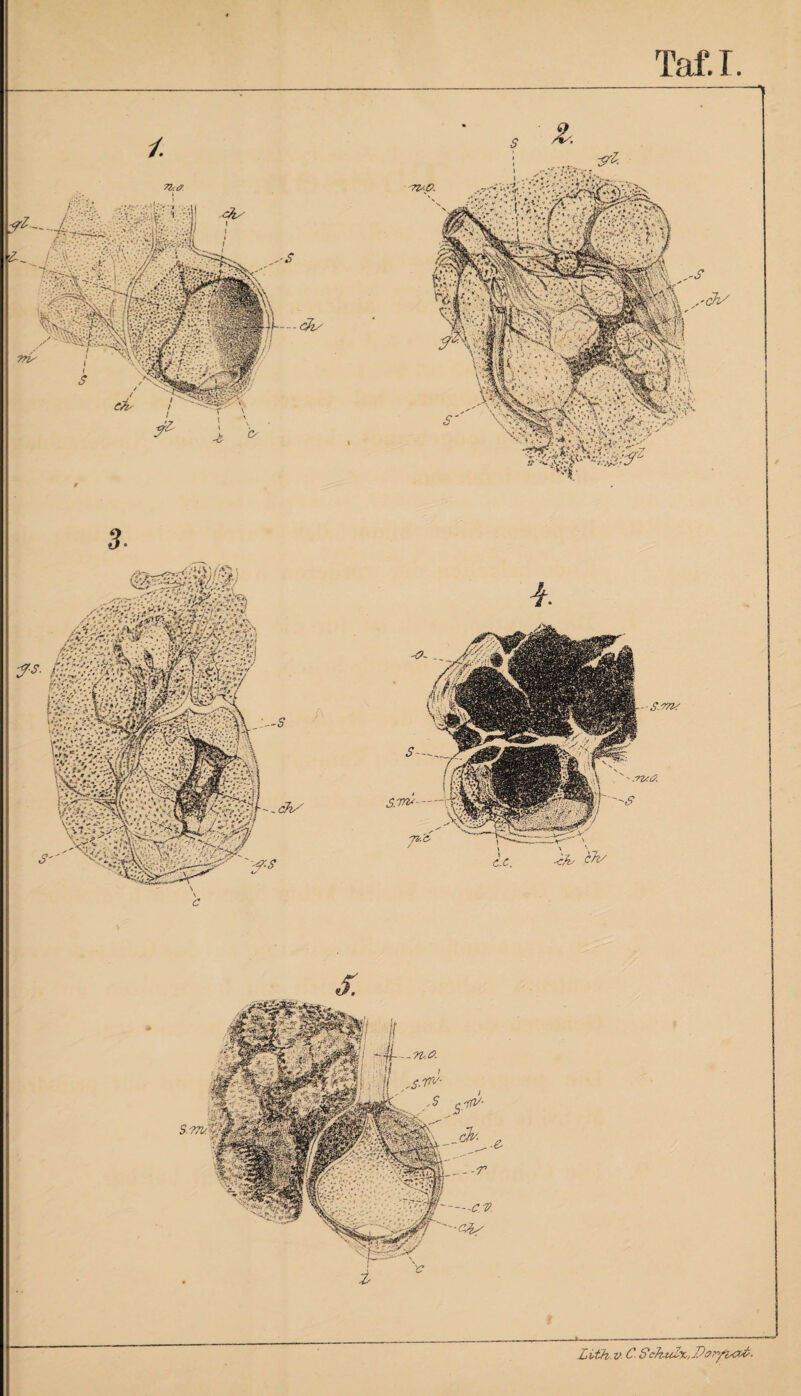 Lit-h v CSch.uZx,Dt?ryi&£.