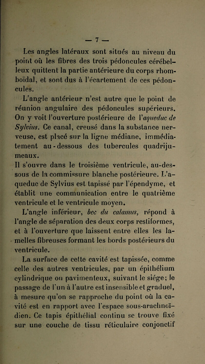 Les angles latéraux sont situés au niveau du point où les fibres des trois pédoncules cérébel¬ leux quittent la partie antérieure du corps rhom- boïdal, et sont dus à l’écartement de ces pédon¬ cules. L’angle antérieur n’est autre que le point de réunion angulaire des pédoncules supérieurs. On y voit l’ouverture postérieure de Y aqueduc de Sylvius. Ce canal, creusé dans la substance ner¬ veuse, est placé sur la ligne médiane, immédia¬ tement au-dessous des tubercules quadriju¬ meaux. Il s’ouvre dans le troisième ventricule, au-des¬ sous de la commissure blanche postérieure. L’a¬ queduc de Sylvius est tapissé par l’épendyme, et établit une communication entre le quatrième ventricule et le ventricule moyen. L’angle inférieur, bec du calamus, répond à l’angle de séparation des deux corps resliformes, et à l’ouverture que laissent entre elles les la- • melles fibreuses formant les bords postérieurs du ventricule. La surface de celte cavité est tapissée, comme celle des autres ventricules, par un épithélium cylindrique ou pavimenteux, suivant le siège; le passage de l’un à l’autre est insensible et graduel, à mesure qu’on se rapproche du point où la ca¬ vité est en rapport avec l’espace sous-arachnoï¬ dien. Ce tapis épithélial continu se trouve fixé sur une couche de tissu réticulaire conjonctif