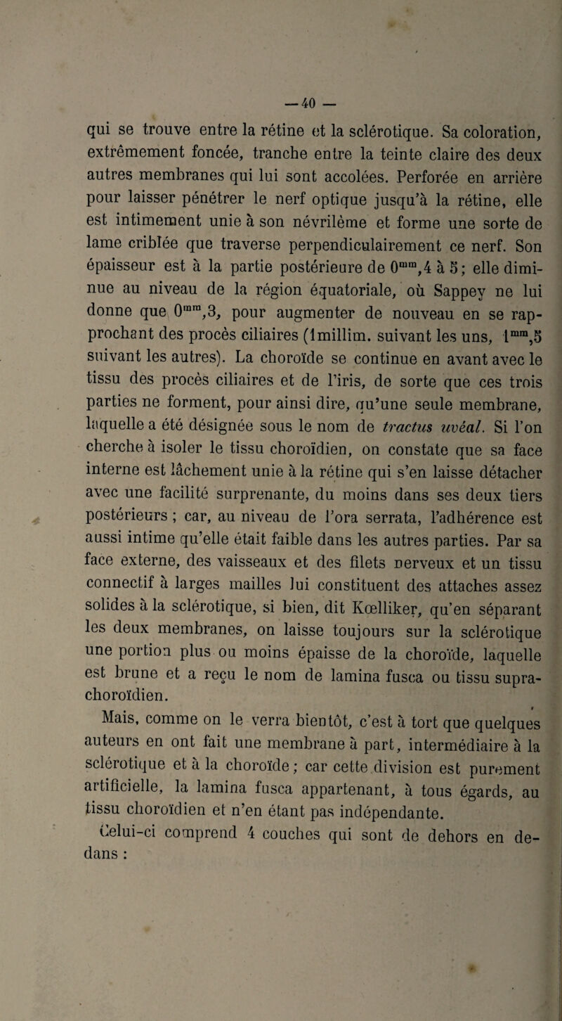 qui se trouve entre la rétine et la sclérotique. Sa coloration, extrêmement foncée, tranche entre la teinte claire des deux autres membranes qui lui sont accolées. Perforée en arrière pour laisser pénétrer le nerf optique jusqu’à la rétine, elle est intimement unie à son névrilème et forme une sorte de lame criblée que traverse perpendiculairement ce nerf. Son épaisseur est à la partie postérieure de 0aira,4 à 5; elle dimi¬ nue au niveau de la région équatoriale, où Sappey ne lui donne que 0rara,3, pour augmenter de nouveau, en se rap¬ prochant des procès ciliaires (lmillim. suivant les uns, lmm,5 suivant les autres). La choroïde se continue en avant avec le tissu des procès ciliaires et de l’iris, de sorte que ces trois parties ne forment, pour ainsi dire, qu’une seule membrane, laquelle a été désignée sous le nom de tractus uvèal. Si l’on cherche à isoler le tissu choroïdien, on constate que sa face interne est lâchement unie à la rétine qui s’en laisse détacher avec une facilité surprenante, du moins dans ses deux tiers postérieurs ; car, au niveau de l’ora serrata, l’adhérence est aussi intime qu’elle était faible dans les autres parties. Par sa face externe, des vaisseaux et des filets nerveux et un tissu connectif à larges mailles lui constituent des attaches assez solides à la sclérotique, si bien, dit Kœlliker, qu’en séparant les deux membranes, on laisse toujours sur la sclérotique une portion plus ou moins épaisse de la choroïde, laquelle est brune et a reçu le nom de lamina fusca ou tissu supra- choroïdien. Mais, comme on le verra bientôt, c’est à tort que quelques auteurs en ont fait une membrane à part, intermédiaire à la sclérotique et a la choroïde; car cette division est purement artificielle, la lamina fusca appartenant, à tous égards, au tissu choroïdien et n’en étant pas indépendante. Celui-ci comprend 4 couches qui sont de dehors en de¬ dans :