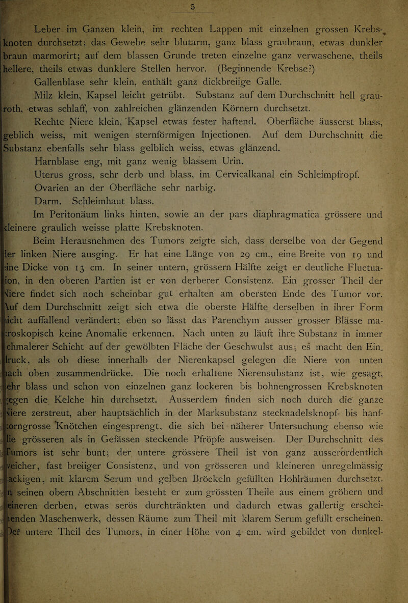 Leber im Ganzen klein, im rechten Lappen mit einzelnen grossen Krebs-^ knoten durchsetzt; das Gewebe sehr blutarm, ganz blass graubraun, etwas dunkler braun marmorirt; auf dem blassen Grunde treten einzelne ganz verwaschene, theils hellere, theils etwas dunklere Stellen hervor. (Beginnende Krebse?) Gallenblase sehr klein, enthält ganz dickbreiige Galle. Milz klein, Kapsel leicht getrübt. Substanz auf dem Durchschnitt hell grau- roth, etwas schlaff, von zahlreichen glänzenden Körnern durchsetzt. Rechte Niere klein, 'Kapsel etwas fester haftend. Oberfläche äusserst blass, geblich weiss, mit wenigen sternförmigen Injectionen. Auf dem Durchschnitt die Substanz ebenfalls sehr blass gelblich weiss, etwas glänzend. Harnblase eng, mit ganz wenig blassem Urin. Uterus gross, sehr derb und blass, im Cervicalkanal ein Schleimpfropf. Ovarien an der Oberfläche sehr narbig. Darm. Schleimhaut blass. Im Peritonäum links hinten, sowie an der pars diaphragmatica grössere und kleinere graulich weisse platte Krebsknoten. Beim Herausnehmen des Tumors zeigte sich, dass derselbe von der Gegend ler linken Niere ausging. Er hat eine Länge von 29 cm., eine Breite von 19 und fine Dicke von 13 cm. In seiner untern, grossem Hälfte zeigt er deutliche Fluctua- |ion, in den oberen Partien ist er von derberer Consistenz. Ein grosser Theil der liiere findet sich noch scheinbar gut erhalten am obersten Ende des Tumor vor. Auf dem Durchschnitt zeigt sich etwa die oberste Hälfte derselben in ihrer Form licht auffallend verändert; eben so lässt das Parenchym ausser grosser Blässe ma- :roskopisch keine Anomalie erkennen. Nach unten zu läuft ihre Substanz in immer chmalerer Schicht auf der gewölbten Fläche der Geschwulst aus; es macht den Ein. Iruck, als ob diese innerhalb der Nierenkapsel gelegen die Niere von unten lach oben zusammendrücke. Die noch erhaltene Nierensubstanz ist, wie gesagt, lehr blass und schon von einzelnen ganz lockeren bis bohnengrossen Krebsknoten liegen die Kelche hin durchsetzt. Ausserdem finden sich noch durch die ganze Tere zerstreut, aber hauptsächlich in der Marksubstanz Stecknadelsknopf- bis hanf- :orngrosse Knötchen eingesprengt, die sich bei näherer Untersuchung ebenso wie lie grösseren als in Gefässen steckende Pfropfe aus weisen. Der Durchschnitt des Tumors ist sehr bunt; der untere grössere Theil ist von ganz ausserordentlich jveicher, fast breiiger Consistenz, und von grösseren und kleineren unregelmässig eckigen, mit klarem Serum und gelben Bröckeln gefüllten Hohlräumen durchsetzt, n seinen obern Abschnitten besteht er zum grössten Theile aus einem grobem und eineren derben, etwas serös durchtränkten und dadurch etwas gallertig erschei- lenden Maschenwerk, dessen Räume zum Theil mit klarem Serum gefüllt erscheinen, er untere Theil des Tumors, in einer Höhe von 4 cm. wird gebildet von dunkel-