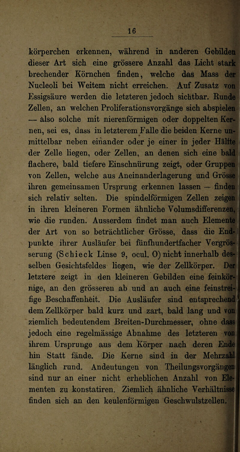 körperchen erkennen, während in anderen Gebilden dieser Art sich eine grössere Anzahl das Licht stark brechender Körnchen finden, welche das Mass der Nucleoli bei Weitem nicht erreichen. Auf Zusatz von Essigsäure werden die letzteren jedoch sichtbar. Runde Zellen, an welchen Proliferationsvorgänge sich abspielen — also solche mit nierenförmigen oder doppelten Ker¬ nen, sei es, dass in letzterem Falle die beiden Kerne un¬ mittelbar neben einander oder je einer in jeder Hallte der Zelle liegen, oder Zellen, an denen sich eine bald flachere, bald tiefere Einschnürung zeigt, oder Gruppen von Zellen, welche aus Aneinanderlagerung und Grösse ihren gemeinsamen Ursprung erkennen lassen — finden sich relativ selten. Die spindelförmigen Zellen zeigen in ihren kleineren Formen ähnliche Volumsdifferenzen, wie die runden. Ausserdem findet man auch Elemente _' q» I der Art von so beträchtlicher Grösse, dass die End¬ punkte ihrer Ausläufer bei fünfhundertfacher Vergrös- serung (Schieck Linse 9, ocul. 0) nicht innerhalb des¬ selben Gesichtsfeldes liegen, wie der Zellkörper. Der letztere zeigt in den kleineren Gebilden eine feinkör¬ nige, an den grösseren ab und an auch eine feinstrei- f fige Beschaffenheit. Die Ausläufer sind entsprechend dem Zellkörper bald kurz und zart, bald lang und von ziemlich bedeutendem Breiten-Durchmesser, ohne dass jedoch eine regelmässige Abnahme des letzteren von ihrem Ursprünge aus dem Körper nach deren Ende hin Statt fände. Die Kerne sind in der Mehrzahl länglich rund. Andeutungen von Theilungsvorgängen sind nur an einer nicht erheblichen Anzahl von Ele¬ menten zu konstatiren. Ziemlich ähnliche Verhältnisse finden sich an den keulenförmigen Geschwulstzellen.