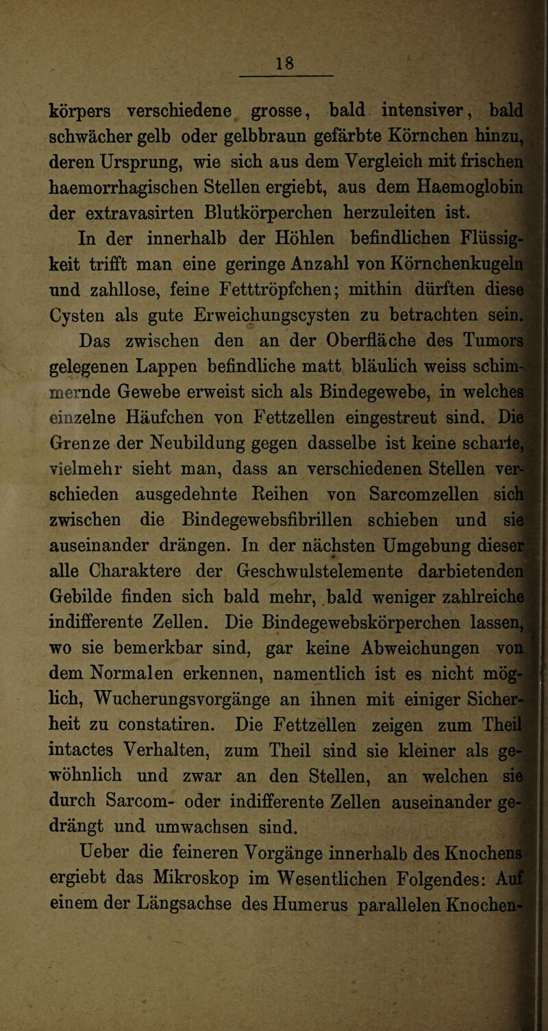 körpers verschiedene grosse, bald intensiver, bald schwächer gelb oder gelbbraun gefärbte Körnchen hinzu, deren Ursprung, wie sich aus dem Vergleich mit frischen haemorrhagischen Stellen ergiebt, aus dem Haemoglobin der extravasirten Blutkörperchen herzuleiten ist. In der innerhalb der Höhlen befindlichen Flüssig¬ keit trifft man eine geringe Anzahl von Körnchenkugeln und zahllose, feine Fetttröpfchen; mithin dürften diese Cysten als gute Erweichungscysten zu betrachten sein. Das zwischen den an der Oberfläche des Tumors gelegenen Lappen befindliche matt bläulich weiss schim¬ mernde Gewebe erweist sich als Bindegewebe, in welches einzelne Häufchen von Fettzellen eingestreut sind. Die Grenze der Neubildung gegen dasselbe ist keine scharte, vielmehr sieht man, dass an verschiedenen Stellen ver¬ schieden ausgedehnte Reihen von Sarcomzellen sich zwischen die Bindegewebsfibrillen schieben und sie auseinander drängen. In der nächsten Umgebung dieser alle Charaktere der Geschwulstelemente darbietenden Gebilde finden sich bald mehr, bald weniger zahlreiche indifferente Zellen. Die Bindegewebskörperchen lassen, wo sie bemerkbar sind, gar keine Abweichungen von dem Normalen erkennen, namentlich ist es nicht mög¬ lich, WucherungsVorgänge an ihnen mit einiger Sicher¬ heit zu constatiren. Die Fettzellen zeigen zum Theil intactes Verhalten, zum Theil sind sie kleiner als ge¬ wöhnlich und zwar an den Stellen, an welchen sie durch Sarcom- oder indifferente Zellen auseinander ge- I drängt und umwachsen sind. Ueber die feineren Vorgänge innerhalb des Knochens ergiebt das Mikroskop im Wesentlichen Folgendes: Auf einem der Längsachse des Humerus parallelen Knochen- I