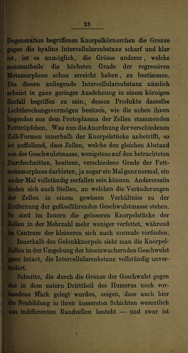 Degeneration begriffenen Knorpelkörnerchen die Grenze gegen die hyaline Intercellularsubstanz scharf und klar ist, ist es unmöglich, die Grösse anderer, welche meistenteils die höchsten Grade der regressiven Metamorphose schon erreicht haben, zu bestimmen. Die diesen anliegende Intercellularsubstanz nämlich scheint in ganz geringer Ausdehnung in einem körnigen Zerfall begriffen zu sein, dessen Produkte dasselbe Lichtbrechungsvermögen besitzen, wie die neben ihnen liegenden aus dem Protoplasma der Zellen stammenden Fetttröpfchen. Was nun die Anordnung der verschiedenen Zell-Formen innerhalb der Knorpelstücke anbetrifft, so ist auffallend, dass Zellen, welche den gleichen Abstand von der Geschwulstraasse, wenigstens auf den betrachteten Durchschnitten, besitzen, verschiedene Grade der Fett¬ metamorphose darbieten, ja sogar ein Mal ganz normal, ein ander Mal vollständig zerfallen sein können. Andererseits finden sich auch Stellen, an welchen die Veränderungen der Zellen in einem gewissen Verhältniss zu der Entfernung der gefässführenden Geschwulstmasse stehen. So sind im Innern die grösseren Knorpelstücke der Zellen in der Mehrzahl mehr weniger verfettet, während im Centrum der kleineren sich auch normale vorfinden. Innerhalb des Gelenkknorpels sieht man die Knorpel- Zellen in der Umgebung der hineinwuchernden Geschwulst ganz intact, die Intercellularsubstanz vollständig unver¬ ändert. Schnitte, die durch die Grenze der Geschwulst gegen das in dem untern Dritttheil des Humerus noch vor¬ handene Mark gelegt wurden, zeigen, dass auch hier die Neubildung in ihren äussersten Schichten wesentlich aus indifferenten Randzellen besteht — und zwar ist