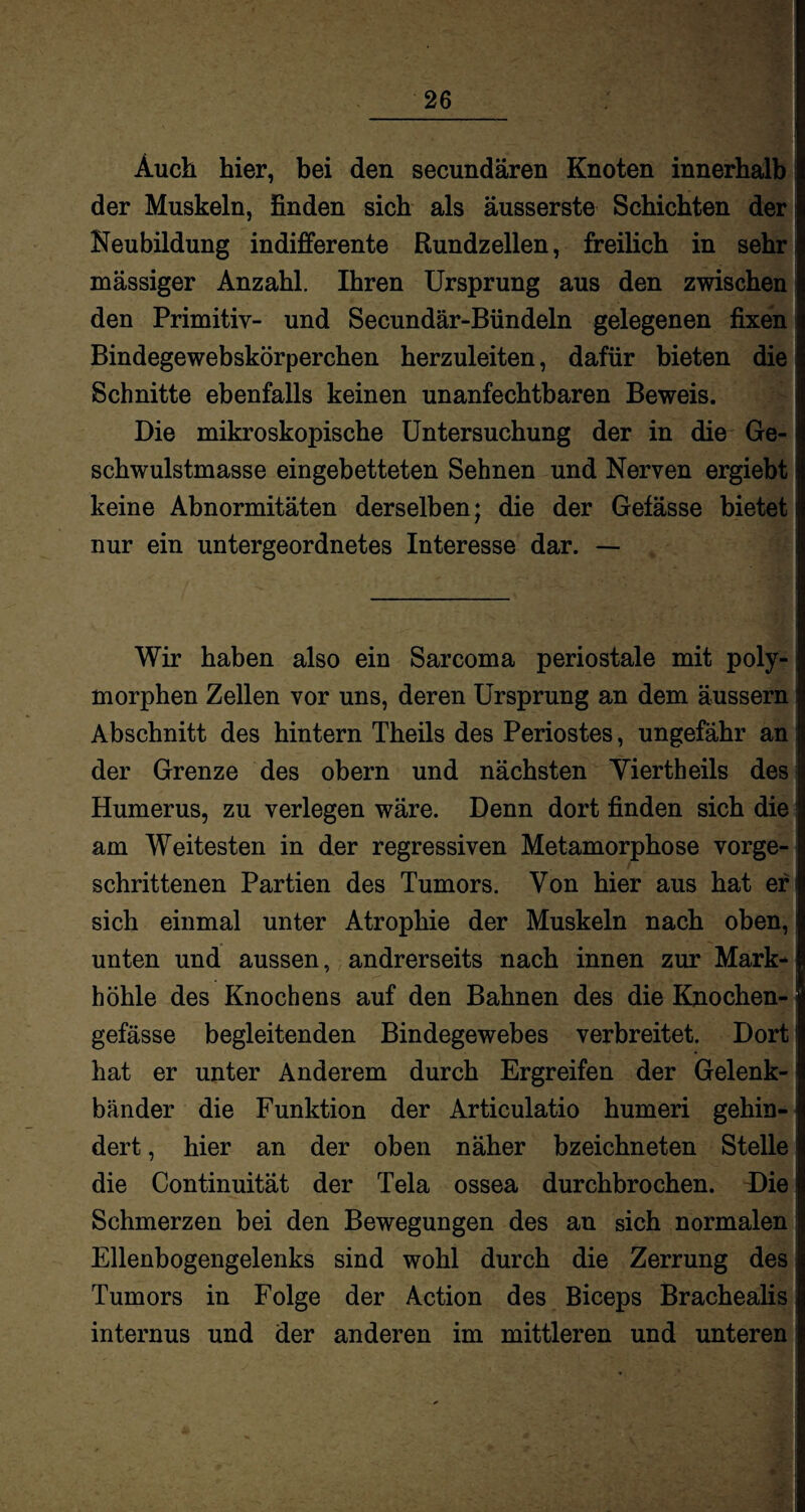 Auch hier, bei den secundären Knoten innerhalb der Muskeln, finden sich als äusserste Schichten der Neubildung indifferente Rundzellen, freilich in sehr massiger Anzahl. Ihren Ursprung aus den zwischen den Primitiv- und Secundär-Bündeln gelegenen fixen Bindegewebskörperchen herzuleiten, dafür bieten die Schnitte ebenfalls keinen unanfechtbaren Beweis. Die mikroskopische Untersuchung der in die Ge¬ schwulstmasse eingebetteten Sehnen und Nerven ergiebt keine Abnormitäten derselben; die der Gefässe bietet nur ein untergeordnetes Interesse dar. — Wir haben also ein Sarcoma periostale mit poly¬ morphen Zellen vor uns, deren Ursprung an dem äussern Abschnitt des hintern Theils des Periostes, ungefähr an der Grenze des obern und nächsten Yiertheils des Humerus, zu verlegen wäre. Denn dort finden sich die am Weitesten in der regressiven Metamorphose vorge- t schrittenen Partien des Tumors. Yon hier aus hat er sich einmal unter Atrophie der Muskeln nach oben, unten und aussen, andrerseits nach innen zur Mark¬ höhle des Knochens auf den Bahnen des die Knochen- gefässe begleitenden Bindegewebes verbreitet. Dort hat er unter Anderem durch Ergreifen der Gelenk¬ bänder die Funktion der Articulatio humeri gehin¬ dert , hier an der oben näher bzeichneten Stelle die Continuität der Tela ossea durchbrochen. Die Schmerzen bei den Bewegungen des an sich normalen Ellenbogengelenks sind wohl durch die Zerrung des Tumors in Folge der Action des Biceps Brachealis internus und der anderen im mittleren und unteren