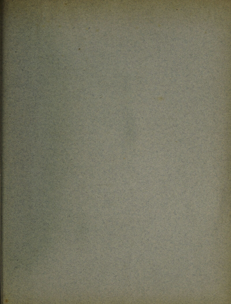 wnmtmiiwuimwitmmmwww un mu iui j