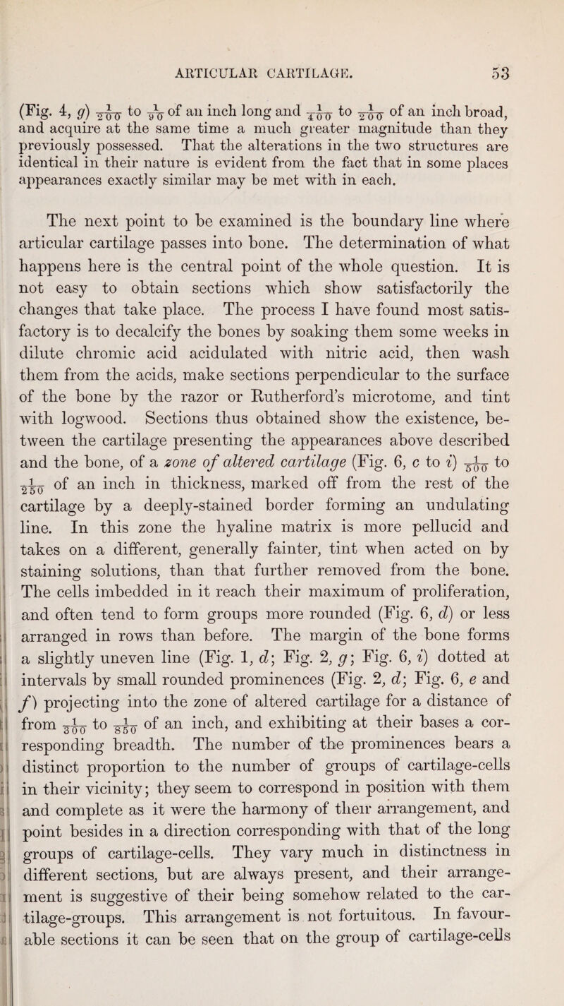 | 11 ; . • I i| t| t >1 ij Cl : I a 3 ) 3 -4 J (3 (Fig. 4, g) -j-Lj to of an inch long and to of an inch broad, and acquire at the same time a much greater magnitude than they previously possessed. That the alterations in the two structures are identical in their nature is evident from the fact that in some places appearances exactly similar may be met with in each. The next point to be examined is the boundary line where articular cartilage passes into bone. The determination of what happens here is the central point of the whole question. It is not easy to obtain sections which show satisfactorily the changes that take place. The process I have found most satis¬ factory is to decalcify the bones by soaking them some weeks in dilute chromic acid acidulated with nitric acid, then wash them from the acids, make sections perpendicular to the surface of the bone by the razor or Rutherford’s microtome, and tint with logwood. Sections thus obtained show the existence, be¬ tween the cartilage presenting the appearances above described and the bone, of a zone of altered cartilage (Fig. 6, c to i) to of an inch in thickness, marked off from the rest of the cartilage by a deeply-stained border forming an undulating line. In this zone the hyaline matrix is more pellucid and takes on a different, generally fainter, tint when acted on by staining solutions, than that further removed from the bone. The cells imbedded in it reach their maximum of proliferation, and often tend to form groups more rounded (Fig. 6, d) or less arranged in rows than before. The margin of the bone forms a slightly uneven line (Fig. 1, d; Fig. 2, g; Fig. 6, i) dotted at intervals by small rounded prominences (Fig. 2, d; Fig. 6, e and f) projecting into the zone of altered cartilage for a distance of from 3^ to g-i-Q of an inch, and exhibiting at their bases a cor¬ responding breadth. The number of the prominences bears a distinct proportion to the number of groups of cartilage-cells in their vicinity; they seem to correspond in position with them and complete as it were the harmony of their arrangement, and point besides in a direction corresponding with that of the long groups of cartilage-cells. They vary much in distinctness in different sections, but are always present, and their arrange¬ ment is suggestive of their being somehow related to the car¬ tilage-groups. This arrangement is not fortuitous. In favour¬ able sections it can be seen that on the group of cartilage-cells