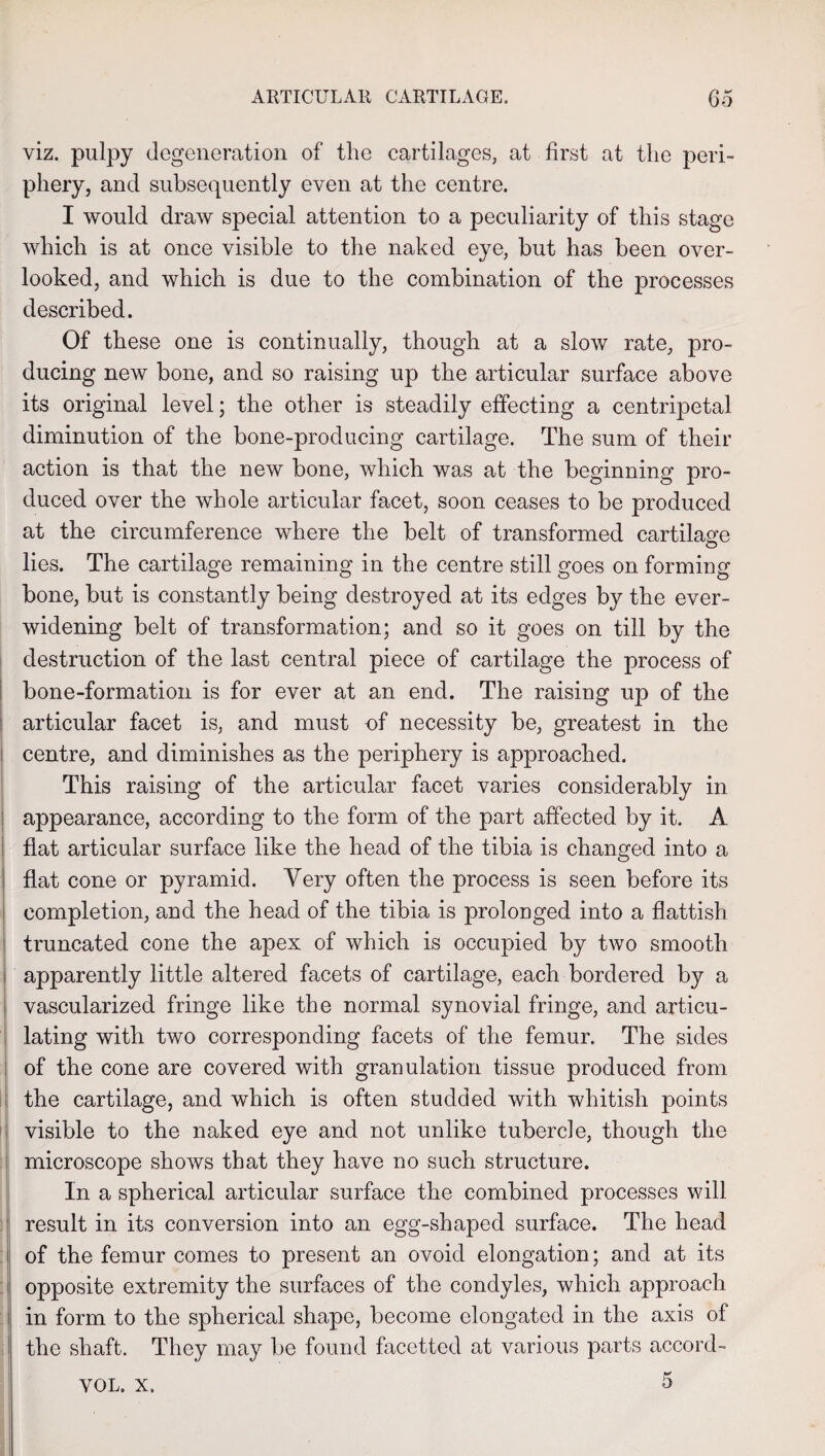 viz. pulpy degeneration of the cartilages, at first at the peri¬ phery, and subsequently even at the centre. I would draw special attention to a peculiarity of this stage which is at once visible to the naked eye, but has been over¬ looked, and which is due to the combination of the processes described. Of these one is continually, though at a slow rate, pro¬ ducing new bone, and so raising up the articular surface above its original level; the other is steadily effecting a centripetal diminution of the bone-producing cartilage. The sum of their action is that the new bone, which was at the beginning pro¬ duced over the whole articular facet, soon ceases to be produced at the circumference where the belt of transformed cartilage lies. The cartilage remaining in the centre still goes on forming bone, but is constantly being destroyed at its edges by the ever- widening belt of transformation; and so it goes on till by the destruction of the last central piece of cartilage the process of bone-formation is for ever at an end. The raising up of the articular facet is, and must of necessity be, greatest in the centre, and diminishes as the periphery is approached. This raising of the articular facet varies considerably in appearance, according to the form of the part affected by it. A flat articular surface like the head of the tibia is changed into a flat cone or pyramid. Very often the process is seen before its completion, and the head of the tibia is prolonged into a flattish truncated cone the apex of which is occupied by two smooth apparently little altered facets of cartilage, each bordered by a vascularized fringe like the normal synovial fringe, and articu¬ lating with two corresponding facets of the femur. The sides of the cone are covered with granulation tissue produced from the cartilage, and which is often studded with whitish points visible to the naked eye and not unlike tubercle, though the microscope shows that they have no such structure. In a spherical articular surface the combined processes will result in its conversion into an egg-shaped surface. The head i of the femur comes to present an ovoid elongation; and at its opposite extremity the surfaces of the condyles, which approach in form to the spherical shape, become elongated in the axis of the shaft. They may be found facetted at various parts accord- VOL. X.