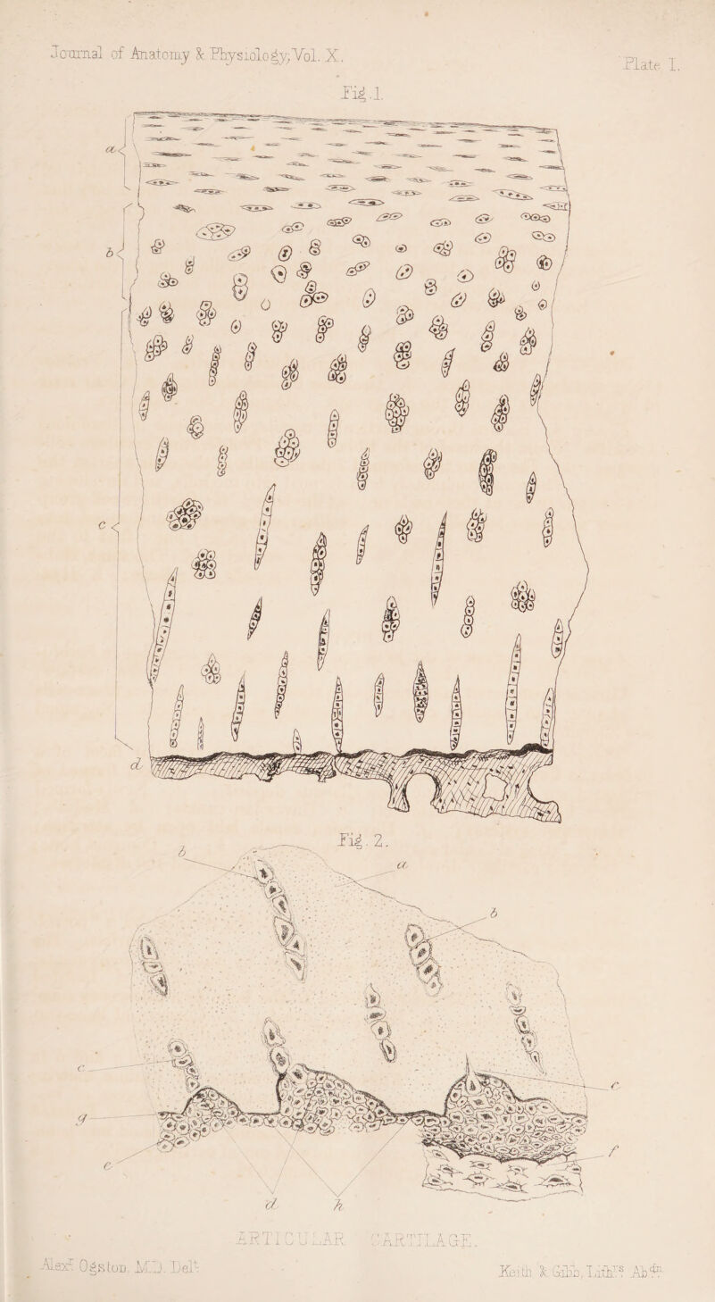 Plate. I. Pi4.1