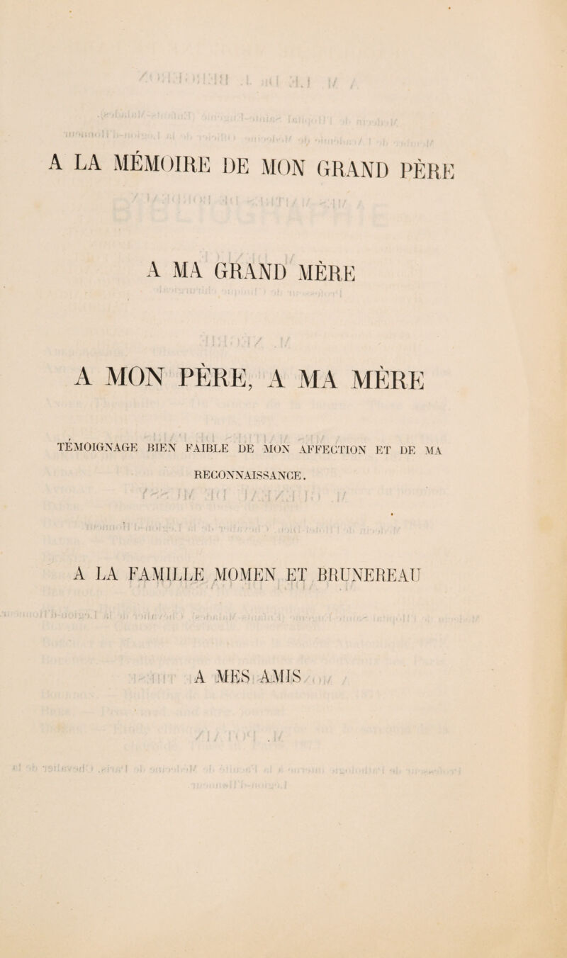 A LA MÉMOIRE DE MON GRAND PÈRE A MA GRAND MÈRE A MON PÈRE, A MA MÈRE TÉMOIGNAGE BIEN FAIBLE DE MON AFFECTION ET DE MA RECONNAISSANCE. A LA FAMILLE MOMEN ET BRUNEREAU A MES AMIS