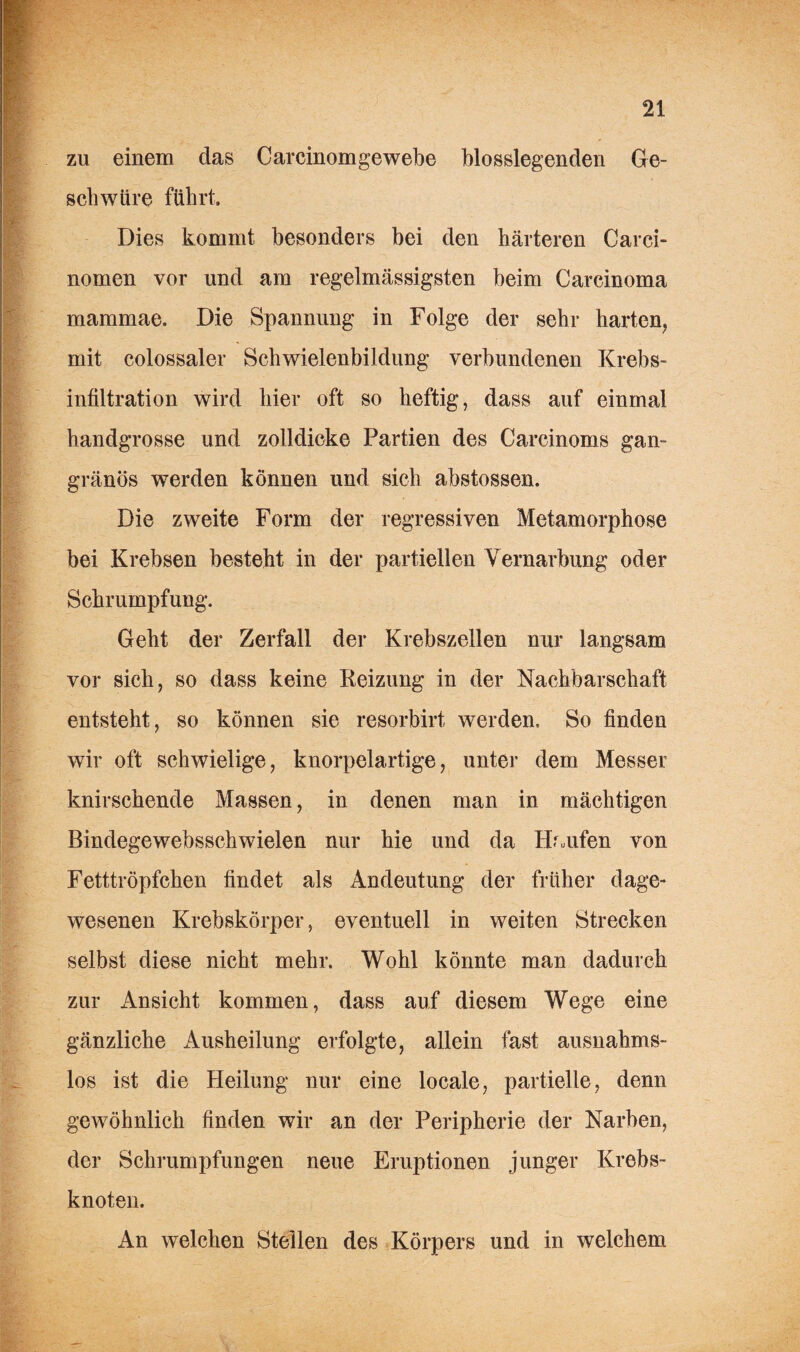 zu einem das Carcinomgewebe blosslegenden Ge¬ schwüre führt. Dies kommt besonders bei den härteren Carci- nomen vor und am regelmässigsten beim Carcinoma mammae. Die Spannung in Folge der sehr harten, mit colossaler Schwielenbildung verbundenen Krebs¬ infiltration wird hier oft so heftig, dass auf einmal handgrosse und zolldicke Partien des Carcinoms gan¬ gränös werden können und sich abstossen. Die zweite Form der regressiven Metamorphose bei Krebsen besteht in der partiellen Vernarbung oder Schrumpfung. Geht der Zerfall der Krebszellen nur langsam vor sich, so dass keine Reizung in der Nachbarschaft entsteht, so können sie resorbirt werden. So finden wir oft schwielige, knorpelartige, unter dem Messer knirschende Massen, in denen man in mächtigen Bindegewebsschwielen nur hie und da Häufen von Fetttröpfchen findet als Andeutung der früher dage¬ wesenen Krebskörper, eventuell in weiten Strecken selbst diese nicht mehr. Wohl könnte man dadurch zur Ansicht kommen, dass auf diesem Wege eine gänzliche Ausheilung erfolgte, allein fast ausnahms¬ los ist die Heilung nur eine locale, partielle, denn gewöhnlich finden wir an der Peripherie der Narben, der Schrumpfungen neue Eruptionen junger Krebs¬ knoten. An welchen Steilen des Körpers und in welchem