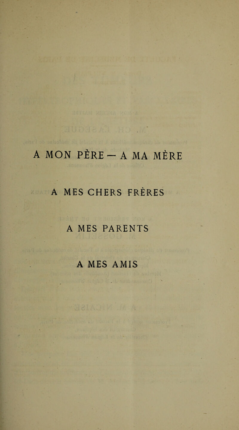 A MON PÈRE - A MA MÈRE A MES CHERS FRÈRES A MES PARENTS A MES AMIS