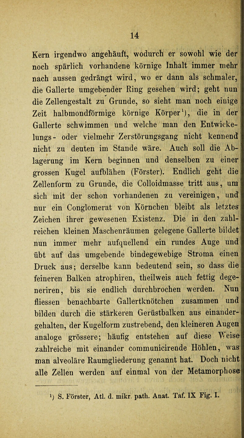 Kern irgendwo angehäuft, wodurch er sowohl wie der noch spärlich vorhandene körnige Inhalt immer mehr nach aussen gedrängt wird, wo er dann als schmaler, die Gallerte umgebender Ring gesehen wird; geht nun die Zellengestalt zu Grunde, so sieht man noch einige Zeit halbmondförmige körnige Körper1), die in der Gallerte schwimmen und welche man den Entwieke- lungs- oder vielmehr Zerstörungsgang nicht kennend nicht zu deuten im Stande wäre. Auch soll die Ab¬ lagerung im Kern beginnen und denselben zu einer grossen Kugel aufblähen (Förster). Endlich geht die Zellenform zu Grunde, die Colloidmasse tritt aus, um sich mit der schon vorhandenen zu vereinigen, und nur ein Conglomerat von Körnchen bleibt als letztes Zeichen ihrer gewesenen Existenz. Die in den zahl¬ reichen kleinen Maschenräumen gelegene Gallerte bildet nun immer mehr aufquellend ein rundes Auge und übt auf das umgebende bindegewebige Stroma einen Druck aus; derselbe kann bedeutend sein, so dass die feineren Balken atrophiren, theilweis auch fettig dege- neriren, bis sie endlich durchbrochen werden. Nun fliessen benachbarte Gallertknötchen zusammen und bilden durch die stärkeren Gerüstbalken aus einander¬ gehalten, der Kugelform zustrebend, den kleineren Augen analoge grössere; häufig entstehen auf diese Vyeise¬ zahlreiche mit einander communicirende Höhlen, was man alveoläre Raumgliederung genannt hat. Doch nicht alle Zellen werden auf einmal von der Metamorphose 1) S. Förster, Atl. d. mikr. path. Anat. Taf. IX Fig. I.