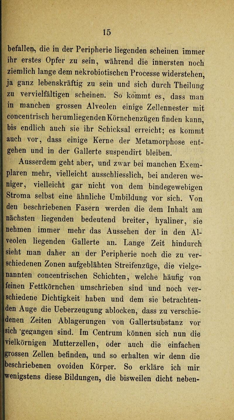befallen*, die in der Peripherie liegenden scheinen immer ihr erstes Opfer zu sein, während die innersten noch ziemlich lange dem nekrobiotischen Processe widerstehen, ja ganz lebenskräftig zu sein und sich durch Theilung zu ver\ielfältigen scheinen. So kommt es, dass man in manchen grossen Alveolen einige Zellennester mit concentrisch herumliegenden Körnchenzügen finden kann, bis endlich auch sie ihr Schicksal erreicht; es kommt auch vor, dass einige Kerne der Metamorphose ent¬ gehen und in der Gallerte suspendirt bleiben. Ausserdem geht aber, und zwar bei manchen Exem- plaien mehi, vielleicht ausschliesslich, bei anderen we¬ niger, vielleicht gar nicht von dem bindegewebigen Stroma selbst eine ähnliche Umbildung vor sich. Von den beschriebenen Fasern werden die dem Inhalt am nächsten liegenden bedeutend breiter, hyaliner, sie nehmen immer mehr das Aussehen der in den Al¬ veolen liegenden Gallerte an. Lange Zeit hindurch sieht man daher an der Peripherie noch die zu ver¬ schiedenen Zonen aufgeblähten Streifenzüge, die vielge¬ nannten concentrischen Schichten, welche häufig von feinen Fettkörnchen umschrieben sind und noch ver¬ schiedene Dichtigkeit haben und dem sie betrachten¬ den Auge die Ueberzeugung ablocken, dass zu verschie¬ denen Zeiten Ablagerungen von Gallertsubstanz vor sich gegangen sind. Im Centrum können sich nun die vielkörnigen Mutterzellen, oder auch die einfachen grossen Zellen befinden, und so erhalten wir denn die beschriebenen ovoiden Körper. So erkläre ich mir wenigstens diese Bildungen, die bisweilen dicht neben-