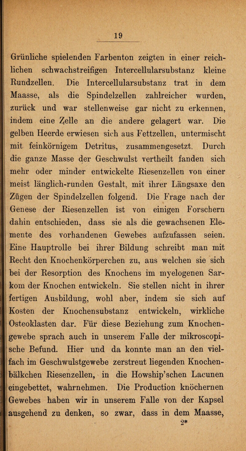 Grünliche spielenden Farbenton zeigten in einer reich¬ lichen schwachstreifigen Intercellularsubstanz kleine Eundz eilen. Die Inter cell ularsubstanz trat in dem Maasse, als die Spindelzellen zahlreicher wurden, zurück und war stellenweise gar nicht zu erkennen, indem eine Zelle an die andere gelagert war. Die gelben Heerde erwiesen sich aus Fettzellen, untermischt mit feinkörnigem Detritus, zusammengesetzt. Durch die ganze Masse der Geschwulst vertheilt fanden sich mehr oder minder entwickelte Riesenzellen von einer meist länglich-runden Gestalt, mit ihrer Längsaxe den Zügen der Spindelzellen folgend. Die Frage nach der Genese der Riesenzellen ist von einigen Forschern dahin entschieden, dass sie als die gewachsenen Ele¬ mente des vorhandenen Gewebes aufzufassen seien. Eine Hauptrolle bei ihrer Bildung schreibt man mit Recht den Knochenkörperchen zu, aus welchen sie sich bei der Resorption des Knochens im myelogenen Sar¬ kom der Knochen entwickeln. Sie stellen nicht in ihrer fertigen Ausbildung, wohl aber, indem sie sich auf Kosten der Knochensubstanz entwickeln, wirkliche Osteoklasten dar. Für diese Beziehung zum Knochen¬ gewebe sprach auch in unserem Falle der mikroscopi- sche Befund. Hier und da konnte man an den viel¬ fach im Geschwulstgewebe zerstreut liegenden Knochen- bälkchen Riesenzellen, in die Howship’ sehen Lacunen eingebettet, wahr nehmen. Die Production knöchernen Gewebes haben wir in unserem Falle von der Kapsel ausgehend zu denken, so zwar, dass in dem Maasse7 2*