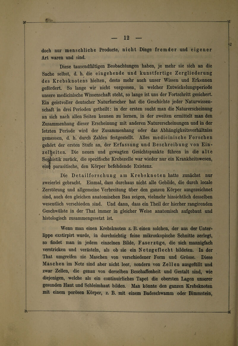 ' -• »V &- # )J.V' — 12 — doch nur menschliche Producte, nicht Dinge fremder und eigener Art waren und sind. Diese tausendfältigen Beobachtungen haben, je mehr sie sich an die Sache selbst, d. h. die eingehende und kunstfertige Zergliederung des Krebsknotens hielten, desto mehr auch unser Wissen und Erkennen gefördert. So lange wir nicht vergessen, in welcher Entwickelungsperiode unsere medicinische Wissenschaft steht, so lange ist uns der Fortschritt gesichert. Ein geistvoller deutscher Naturforscher hat die Geschichte jeder Naturwissen¬ schaft in drei Perioden getheilt: in der ersten sucht man die Naturerscheinung an sich nach allen Seiten kennen zu lernen, in der zweiten ermittelt man den Zusammenhang dieser Erscheinung mit anderen Naturerscheinungen und in der letzten Periode wird der Zusammenhang oder das Abhängigkeitsverhältniss gemessen, d. h. durch Zahlen festgestellt. Alles medicinische Forschen gehört der ersten Stufe an, der Erfassung und Beschreibung von Ein¬ zelheiten. Die neuen und gewagten Gesichtspunkte führen in die alte T* So^tiistik zurück, die specifische Krebszelle war wieder nur ein Krankheitswesen, ein| parasitische, den Körper befehdende Existenz. Die Detailforschung am Krebsknoten hatte zunächst nur zweierlei gebracht. Einmal, dass durchaus nicht alle Gebilde, die durch locale Zerstörung und allgemeine Verbreitung über den ganzen Körper ausgezeichnet sind, auch den gleichen anatomischen Bau zeigen, vielmehr hinsichtlich desselben wesentlich verschieden sind. Und dann, dass ein Theil der hierher rangirenden Geschwülste in der That immer in gleicher Weise anatomisch aufgebaut und t w MM histologisch zusammengesetzt ist. Wenn man einen Krebsknoten z. B. einen solchen, der aus der Unter¬ lippe exstirpirt wurde, in durchsichtig feine mikroskopische Schnitte zerlegt, so findet man in jedem einzelnen Bilde, Faserzüge, die sich mannigfach verstricken und verästeln, als ob sie ein Netzgeflecht bildeten. In der That umgreifen sie Maschen von verschiedener Form und Grösse. Diese Maschen im Netz sind aber nicht leer, sondern von Zellen ausgefüllt und zwar Zellen, die genau von derselben Beschaffenheit und Gestalt sind, wie diejenigen, welche als ein continuirliches Tapet die obersten Lagen unserer gesunden Haut und Schleimhaut bilden. Man könnte den ganzen Krebsknoten mit einem porösen Körper, z. B. mit einem Badeschwamm oder Bimmstein, st- %