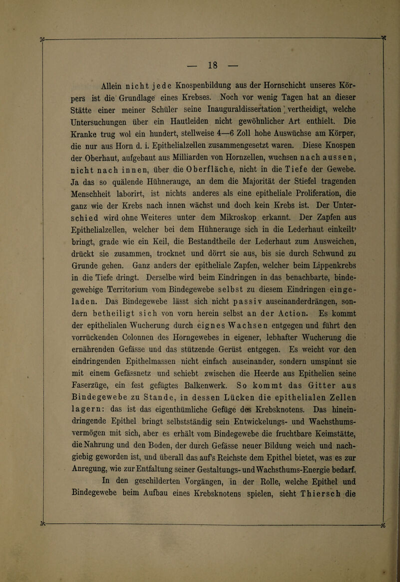 Allein nicht jede Knospenbildung aus der Hornschicht unseres Kör¬ pers ist die Grundlage eines Krebses. Noch vor wenig Tagen hat an dieser Stätte einer meiner Schüler seine Inauguraldissertation; vertheidigt, welche Untersuchungen über ein Hautleiden nicht gewöhnlicher Art enthielt. Die Kranke trug wol ein hundert, stellweise 4—6 Zoll hohe Auswüchse am Körper, die nur aus Horn d. i. Epithelialzellen zusammengesetzt waren. Diese Knospen der Oberhaut, aufgebaut aus Milliarden von Hornzellen, wuchsen nach aussen, nicht nach innen, über die Oberfläche, nicht in die Tiefe der Gewebe. Ja das so quälende Hühnerauge, an dem die Majorität der Stiefel tragenden Menschheit laborirt, ist nichts anderes als eine epitheliale Proliferation, die ganz wie der Krebs nach innen wächst und doch kein Krebs ist. Der Unter¬ schi ed wird ohne Weiteres unter dem Mikroskop erkannt. Der Zapfen aus Epithelialzellen, welcher bei dem Hühnerauge sich in die Lederhaut einkeilt’ bringt, grade wie ein Keil, die Bestandtheile der Lederhaut zum Ausweichen, drückt sie zusammen, trocknet und dörrt sie aus, bis sie durch Schwund zu Grunde gehen. Ganz anders der epitheliale Zapfen, welcher beim Lippenkrebs in die Tiefe dringt. Derselbe wird beim Eindringen in das benachbarte, binde¬ gewebige Territorium vom Bindegewebe selbst zu diesem Eindringen ein ge - laden. Das Bindegewebe lässt sich nicht passiv auseinanderdrängen, son¬ dern betheiligt sich von vorn herein selbst an der Action. Es kommt der epithelialen Wucherung durch eignesWachsen entgegen und führt den vorrückenden Colonnen des Horngewebes in eigener, lebhafter Wucherung die ernährenden Gefässe und das stützende Gerüst entgegen. Es weicht vor den eindringenden Epithelmassen nicht einfach auseinander, sondern umspinnt sie mit einem Gefässnetz und schiebt zwischen die Heerde aus Epithelien seine Faserzüge, ein fest gefügtes Balkenwerk. So kommt das Gitter aus Bindegewebe zu Stande, in dessen Lücken die epithelialen Zellen lagern: das ist das eigenthümliche Gefüge des Krebsknotens. Das hinein¬ dringende Epithel bringt selbstständig sein Entwickelungs- und Wachsthums¬ vermögen mit sich, aber es erhält vom Bindegewebe die fruchtbare Keimstätte, die Nahrung und den Boden, der durch Gefässe neuer Bildung weich und nach¬ giebig geworden ist, und überall das aufs Reichste dem Epithel bietet, was es zur Anregung, wie zur Entfaltung seiner Gestaltungs-undWachsthums-Energie bedarf. In den geschilderten Vorgängen, in der Rolle, welche Epithel und Bindegewebe beim Aufbau eines Krebsknotens spielen, sieht Thiersch die