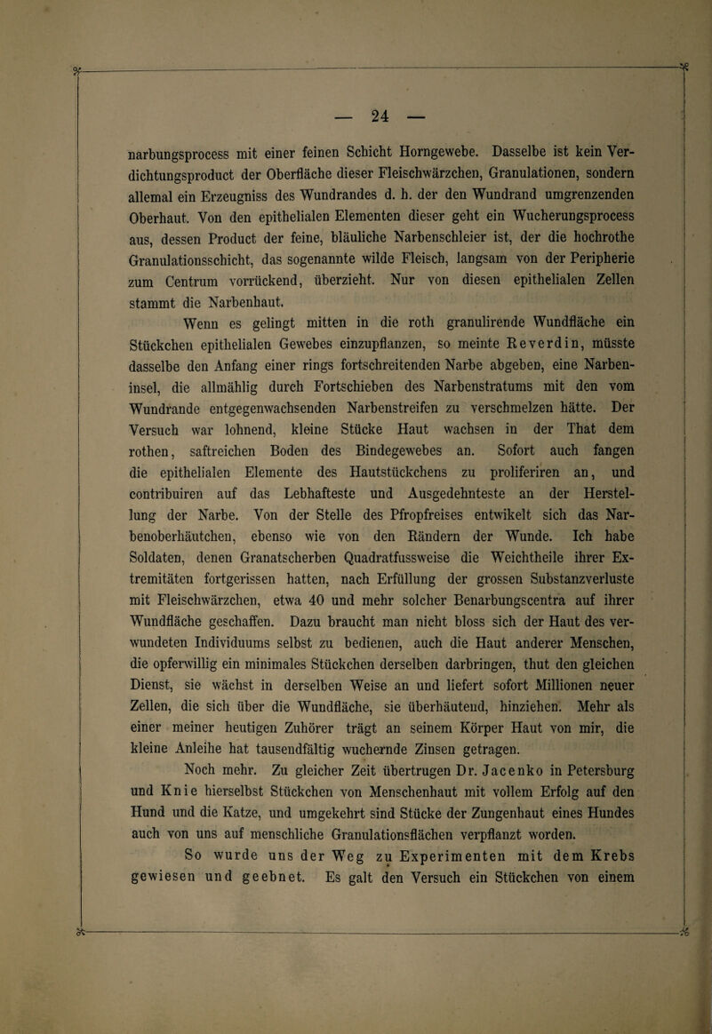 narbungsprocess mit einer feinen Schicht Horngewebe. Dasselbe ist kein Ver- dichtungsproduct der Oberfläche dieser Fleischwärzchen, Granulationen, sondern allemal ein Erzeugnis des Wundrandes d. h. der den Wundrand umgrenzenden Oberhaut, Von den epithelialen Elementen dieser geht ein Wucherungsprocess aus, dessen Product der feine, bläuliche Narbenschleier ist, der die hochrothe Granulationsschicht, das sogenannte wilde Fleisch, langsam von der Peripherie zum Centrum vorrückend, überzieht. Nur von diesen epithelialen Zellen stammt die Narbenhaut. Wenn es gelingt mitten in die roth granulirende Wundfläche ein Stückchen epithelialen Gewebes einzupflanzen, so meinte Reverdin, müsste dasselbe den Anfang einer rings fortschreitenden Narbe abgeben, eine Narben¬ insel, die allmählig durch Fortschieben des Narbenstratums mit den vom Wundrande entgegenwachsenden Narbenstreifen zu verschmelzen hätte. Der Versuch war lohnend, kleine Stücke Haut wachsen in der That dem rothen, saftreichen Boden des Bindegewebes an. Sofort auch fangen die epithelialen Elemente des Hautstückchens zu proliferiren an, und contribuiren auf das Lebhafteste und Ausgedehnteste an der Herstel¬ lung der Narbe. Von der Stelle des Pfropfreises entwikelt sich das Nar¬ benoberhäutchen, ebenso wie von den Rändern der Wunde. Ich habe Soldaten, denen Granatscherben Quadratfussweise die Weichtheile ihrer Ex¬ tremitäten fortgerissen hatten, nach Erfüllung der grossen Substanzverluste mit Fleischwärzchen, etwa 40 und mehr solcher Benarbungscentra auf ihrer Wundfläche geschaffen. Dazu braucht man nicht bloss sich der Haut des ver¬ wundeten Individuums selbst zu bedienen, auch die Haut anderer Menschen, die opferwillig ein minimales Stückchen derselben darbringen, thut den gleichen Dienst, sie wächst in derselben Weise an und liefert sofort Millionen neuer Zellen, die sich über die Wundfläche, sie überhäutend, hinziehen. Mehr als einer meiner heutigen Zuhörer trägt an seinem Körper Haut von mir, die kleine Anleihe hat tausendfältig wuchernde Zinsen getragen. Noch mehr. Zu gleicher Zeit übertrugen Dr. Jacenko in Petersburg und Knie hierselbst Stückchen von Menschenhaut mit vollem Erfolg auf den Hund und die Katze, und umgekehrt sind Stücke der Zungenhaut eines Hundes auch von uns auf menschliche Granulationsflächen verpflanzt worden. So wurde uns der Weg zu Experimenten mit dem Krebs gewiesen und geebnet. Es galt den Versuch ein Stückchen von einem