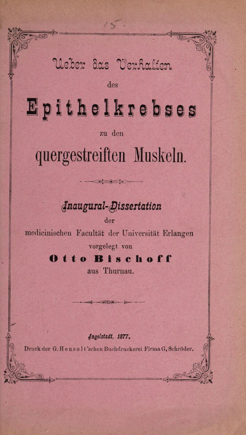 IJUte C.CCC des Epithelkr zu den quergestreiften Muskeln. flnaugural-Dissertation der medicinischen Facultät der Universität Erlangen vorgelegt von Otto Bise hoff aus Thuruau. -sag- A ingulstadt, i877. 3) Druck der G. H e n s o 11 'scheu Buchdruckerei Firma G. Schröder.