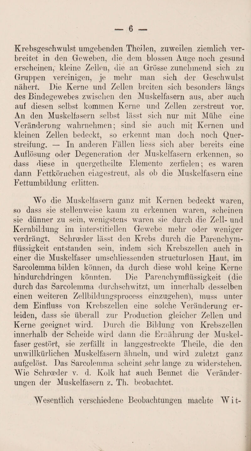 Krebsgeschwulst umgebenden Theilen, zuweilen ziemlich ver¬ breitet in den Geweben, die dem blossen Auge noch gesund erscheinen; kleine Zellen, die an Grösse zunehmend sich zu Gruppen vereinigen, je mehr man sich der Geschwulst nähert. Die Kerne und Zellen breiten sich besonders längs des Bindegewebes zwischen den Muskelfasern aus, aber auch auf diesen selbst kommen Kerne und Zellen zerstreut vor* An den Muskelfasern selbst lässt sich nur mit Mühe eine Veränderung wahrnehmen; sind sie auch mit Kernen und kleinen Zellen bedeckt, so erkennt man doch noch Quer¬ streifung. — In anderen Fällen liess sich aber bereits eine Auflösung oder Degeneration der Muskelfasern erkennen, so dass diese in quergetheilte Elemente zerfielen; es waren dann Fettkörnchen eingestreut, als ob die Muskelfasern eine Fettumbildung erlitten. Wo die Muskelfasern ganz mit Kernen bedeckt waren, so dass sie stellenweise kaum zu erkennen waren, scheinen sie dünner zu sein, wenigstens waren sie durch die Zell- und Kernbildung im interstitiellen Gewebe mehr oder weniger verdrängt, Scliroeder lässt den Krebs durch die Parenchym¬ flüssigkeit entstanden sein, indem sich Krebszellen auch in einer die Muskelfaser umschliessenden structurlosen Haut, im Sarcolemma bilden können, da durch diese wohl keine Kerne hindurchdringen könnten. Die Parenchymflüssigkeit (die durch das Sarcolemma durchschwitzt, um innerhalb desselben einen weiteren Zellbildungsprocess einzugehen), muss unter dem Einfluss von Krebszellen eine solche Veränderung er¬ leiden, dass sie überall zur Production gleicher Zellen und Kerne geeignet wird. Durch die Bildung von Krebszellen innerhalb der Scheide wird dann die Ernährung der Muskel¬ faser gestört, sie zerfällt in langgestreckte Theile, die den unwillkürlichen Muskelfasern ähneln, und wird zuletzt ganz aufgelöst. Das Sarcolemma scheint sehr lange zu widerstehen* Wie Schroeder v. d. Kolk hat auch Bennet die Veränder¬ ungen der Muskelfasern z. Th. beobachtet. Wesentlich verschiedene Beobachtungen machte Wit-