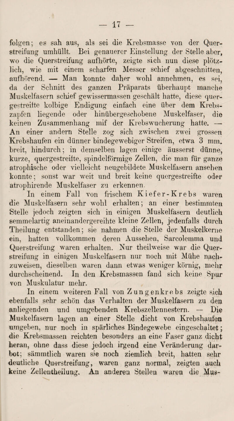 folgen; es sah aus, als sei die Krebsmasse von der Quer- streifung umhüllt. Bei genauerer Einstellung der Stelle aber, wo die Querstreifung auf hörte, zeigte sich nun diese plötz¬ lich, wie mit einem scharfen Messer schief abgeschnitten, aufhörend. — Man konnte daher wohl annehmen, es sei, da der Schnitt des ganzen Präparats überhaupt manche Muskelfasern schief gewissermassen geschält hatte, diese quer¬ gestreifte kolbige Endigung einfach eine über dem Krebs¬ zapfen liegende oder hinübergeschobene Muskelfaser, die keinen Zusammenhang mif der Krebswucherung hatte. — An einer andern Stelle zog sich zwischen zwei grossen Krebshaufen ein dünner bindegewebiger Streifen, etwa 3 mm. breit, hindurch; in demselben lagen einige äusserst dünne, kurze, quergestreifte, spindelförmige Zellen, die man für ganze atrophische oder vielleicht neugebildete Muskelfasern ansehen konnte; sonst war weit und breit keine quergestreifte oder atrophirende Muskelfaser zu erkennen. In einem Fall von frischem Kiefer-Krebs waren die Muskelfasern sehr wohl erhalten; an einer bestimmten Stelle jedoch zeigten sich in einigen Muskelfasern deutlich semmelartig aneinandergereihte kleine Zellen, jedenfalls durch Theilung entstanden; sie nahmen die Stelle der Muskelkerne ein, hatten vollkommen deren Aussehen, Sarcolemma und Querstreifung waren erhalten. Nur theilweise war die Quer¬ streifung in einigen Muskelfasern nur noch mit Mühe nach¬ zuweisen, dieselben waren dann etwas weniger körnig, mehr durchscheinend. In den Krebsmassen fand sich keine Spur von Muskulatur mehr. In einem weiteren Fall von Z un g enkr e bs zeigte sich ebenfalls sehr schön das Verhalten der Muskelfasern zu den anliegenden und umgebenden Krebszellennestern. — Die Muskelfasern lagen an einer Stelle dicht von Krebshaufen umgeben, nur noch in spärliches Bindegewebe eingeschaltet; die Krebsmassen reichten besonders an eine Faser ganz dicht heran, ohne dass diese jedoch irgend eine Veränderung dar¬ bot; sämmtlich waren sie noch ziemlich breit, hatten sehr deutliche Querstreifung, waren ganz normal, zeigten auch keine Zeilentheilung, An anderen Stellen waren die Mus-