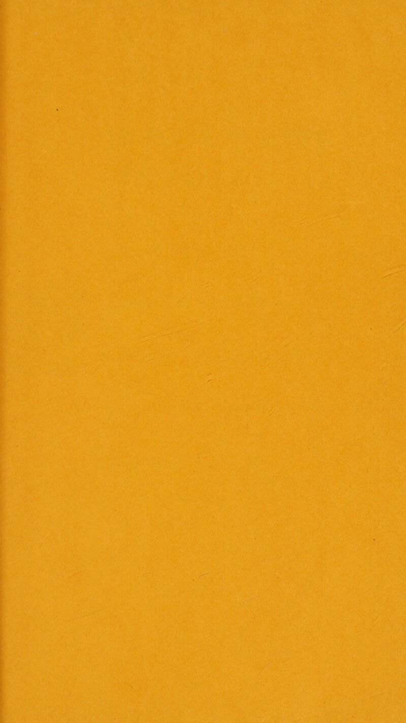 1 ■ . - ' - - ‘ : X . . t 1' ■ r'