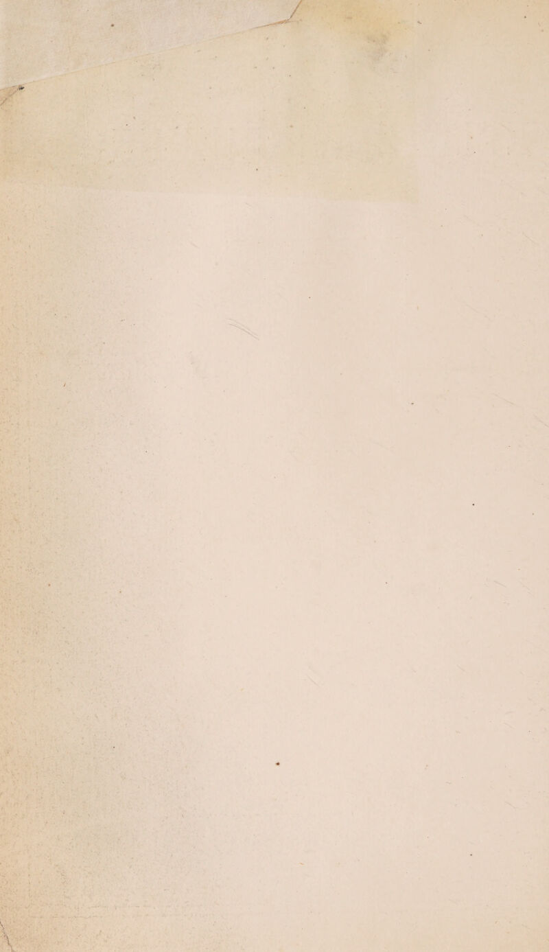 - m frt ¥ I . J ■ . . ■ V. .