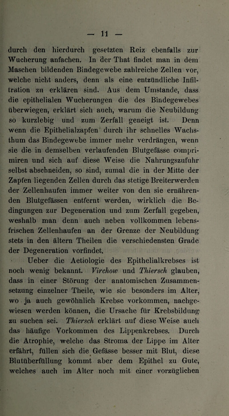 durch den hierdurch gesetzten Reiz ebenfalls zur Wucherung anfachen. In der That findet man in dem Maschen bildenden Bindegewebe zahlreiche Zellen vor, welche nicht anders, denn als eine entzündliche Infil¬ tration zu erklären sind. Aus dem Umstande, dass die epithelialen Wucherungen die des Bindegewebes überwiegen, erklärt sich auch, warum die Neubildung so kurzlebig und zum Zerfall geneigt ist. Denn wenn die Epithelialzapfen durch ihr schnelles Wachs¬ thum das Bindegewebe immer mehr verdrängen, wenn sie die in demselben verlaufenden Blutgefässe compri- miren und sich auf diese Weise die Nahrungszufuhr selbst abschneiden, so sind, zumal die in der Mitte der Zapfen liegenden Zellen durch das stetige Breiterwerden der Zellenhaufen immer weiter von den sie ernähren¬ den Blutgefässen entfernt werden, wirklich die Be¬ dingungen zur Degeneration und zum Zerfall gegeben, weshalb man denn auch neben vollkommen lebens¬ frischen Zellenhaufen an der Grenze der Neubildung stets in den ältern Theilen die verschiedensten Grade der Degeneration vorfindet. Ueber die Aetiologie des Epithelialkrebses ist noch wenig bekannt. Virchow und Thier sch glauben, dass in einer Störung der anatomischen Zusammen¬ setzung einzelner Theile, wie sie besonders im Alter, wo ja auch gewöhnlich Krebse Vorkommen, nachge¬ wiesen werden können, die Ursache für Krebsbildung zu suchen sei. Thier sch erklärt auf diese Weise auch das häufige Vorkommen des Lippenkrebses. Durch die Atrophie, welche das Stroma der Lippe im Alter erfährt, füllen sich die Gefässe besser mit Blut, diese Blutüberfüllung kommt aber dem Epithel zu Gute, welches auch im Alter noch mit einer vorzüglichen