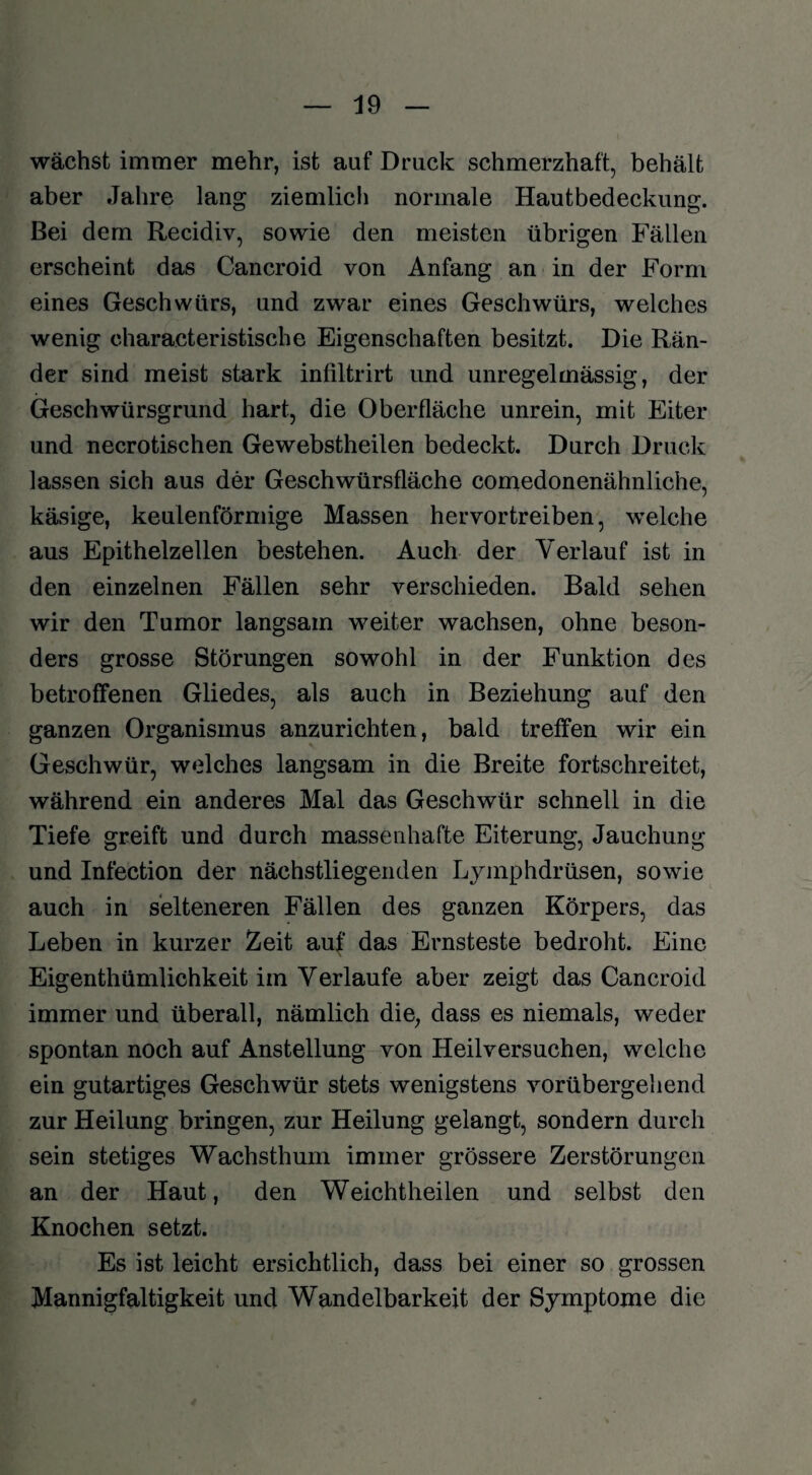 wächst immer mehr, ist auf Druck schmerzhaft, behält aber Jahre lang ziemlich normale Hautbedeckung. Bei dem Recidiv, sowie den meisten übrigen Fällen erscheint das Cancroid von Anfang an in der Form eines Geschwürs, und zwar eines Geschwürs, welches wenig characteristische Eigenschaften besitzt. Die Rän¬ der sind meist stark infiltrirt und unregelmässig, der Geschwürsgrund hart, die Oberfläche unrein, mit Eiter und necrotischen Gewebstheilen bedeckt. Durch Druck lassen sich aus der Geschwürsfläche comedonenähnliche, käsige, keulenförmige Massen hervortreiben, welche aus Epithelzellen bestehen. Auch der Verlauf ist in den einzelnen Fällen sehr verschieden. Bald sehen wir den Tumor langsam weiter wachsen, ohne beson¬ ders grosse Störungen sowohl in der Funktion des betroffenen Gliedes, als auch in Beziehung auf den ganzen Organismus anzurichten, bald treffen wir ein Geschwür, welches langsam in die Breite fortschreitet, während ein anderes Mal das Geschwür schnell in die Tiefe greift und durch massenhafte Eiterung, Jauchung und Infection der nächstliegenden Lymphdrüsen, sowie auch in selteneren Fällen des ganzen Körpers, das Leben in kurzer Zeit auf das Ernsteste bedroht. Eine Eigentümlichkeit im Verlaufe aber zeigt das Cancroid immer und überall, nämlich die, dass es niemals, weder spontan noch auf Anstellung von Heilversuchen, welche ein gutartiges Geschwür stets wenigstens vorübergehend zur Heilung bringen, zur Heilung gelangt, sondern durch sein stetiges Wachsthum immer grössere Zerstörungen an der Haut, den Weichtheilen und selbst den Knochen setzt. Es ist leicht ersichtlich, dass bei einer so grossen Mannigfaltigkeit und Wandelbarkeit der Symptome die