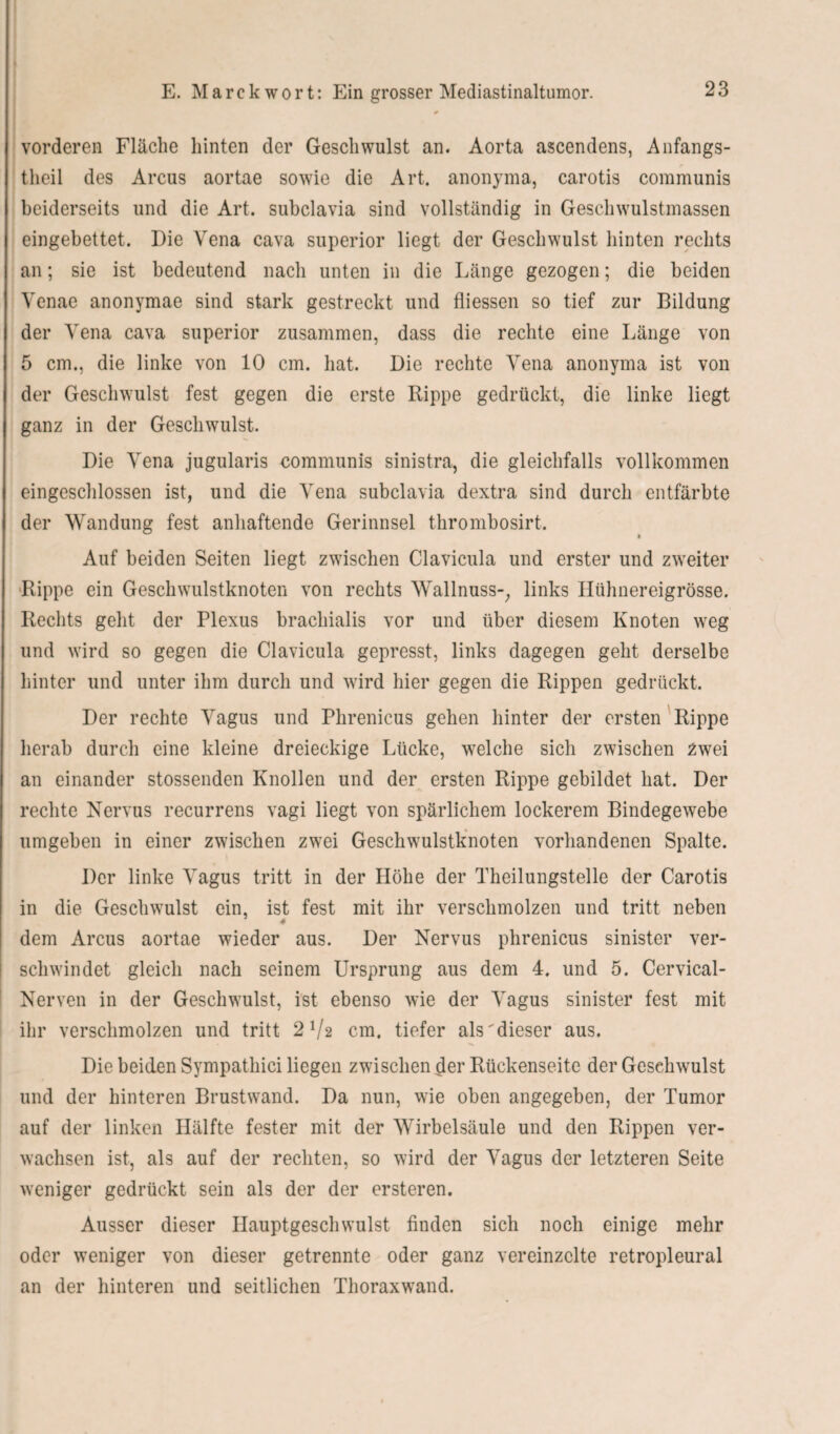 E. Marckwort: Ein grosser Mediastinaltumor. 23 vorderen Fläche hinten der Geschwulst an. Aorta ascendens, Anfangs- theil des Arcus aortae sowie die Art. anonyma, carotis communis beiderseits und die Art. subclavia sind vollständig in Geschwulstmassen eingebettet. Die Vena cava superior liegt der Geschwulst hinten rechts an; sie ist bedeutend nach unten in die Länge gezogen; die beiden Yenae anonymae sind stark gestreckt und fliessen so tief zur Bildung der Vena cava superior zusammen, dass die rechte eine Länge von 5 cm., die linke von 10 cm. hat. Die rechte Vena anonyma ist von der Geschwulst fest gegen die erste Rippe gedrückt, die linke liegt ganz in der Geschwulst. Die Yena jugularis communis sinistra, die gleichfalls vollkommen eingeschlossen ist, und die Yena subclavia dextra sind durch entfärbte der Wandung fest anhaftende Gerinnsel thrombosirt. Auf beiden Seiten liegt zwischen Clavicula und erster und zweiter Rippe ein Geschwulstknoten von rechts Wallnuss-, links Hühnereigrösse. Rechts geht der Plexus brachialis vor und über diesem Knoten weg und wird so gegen die Clavicula gepresst, links dagegen geht derselbe hinter und unter ihm durch und wird hier gegen die Rippen gedrückt. Der rechte Vagus und Phrenicus gehen hinter der ersten Rippe herab durch eine kleine dreieckige Lücke, welche sich zwischen zwei an einander stossenden Knollen und der ersten Rippe gebildet hat. Der rechte Nervus recurrens vagi liegt von spärlichem lockerem Bindegewebe umgeben in einer zwischen zwei Geschwulstknoten vorhandenen Spalte. Der linke Vagus tritt in der Höhe der Theilungstelle der Carotis in die Geschwulst ein, ist fest mit ihr verschmolzen und tritt neben dem Arcus aortae wieder aus. Der Nervus phrenicus sinister ver¬ schwindet gleich nach seinem Ursprung aus dem 4. und 5. Cervical- Nerven in der Geschwulst, ist ebenso wie der Vagus sinister fest mit ihr verschmolzen und tritt 2V2 cm. tiefer als'dieser aus. Die beiden Sympathici liegen zwischen der Rückenseite der Geschwulst und der hinteren Brustwand. Da nun, wie oben angegeben, der Tumor auf der linken Hälfte fester mit der Wirbelsäule und den Rippen ver¬ wachsen ist, als auf der rechten, so wird der Vagus der letzteren Seite weniger gedrückt sein als der der ersteren. Ausser dieser Ilauptgeschwulst finden sich noch einige mehr oder weniger von dieser getrennte oder ganz vereinzelte retropleural an der hinteren und seitlichen Thoraxwand.