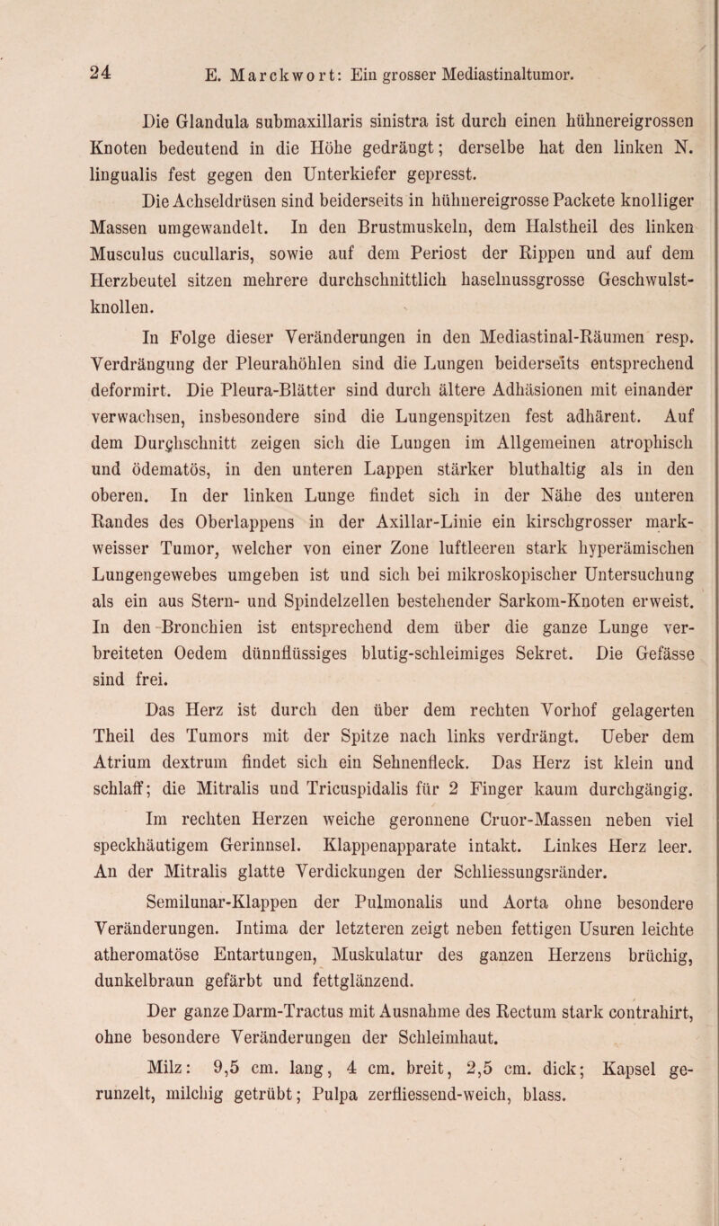 Die Glandula submaxillaris sinistra ist durch einen hüknereigrossen Knoten bedeutend in die Höhe gedrängt; derselbe hat den linken N. lingualis fest gegen den Unterkiefer gepresst. Die Achseldrüsen sind beiderseits in hühnereigrosse Packete knolliger Massen umgewandelt. In den Brustmuskeln, dem Halstheil des linken Musculus cucullaris, sowie auf dem Periost der Rippen und auf dem Herzbeutel sitzen mehrere durchschnittlich haselnussgrosse Geschwulst¬ knollen. In Folge dieser Veränderungen in den Mediastinal-Räumen resp. Verdrängung der Pleurahöhlen sind die Lungen beiderseits entsprechend deformirt. Die Pleura-Blätter sind durch ältere Adhäsionen mit einander verwachsen, insbesondere sind die Lungenspitzen fest adhärent. Auf dem Durchschnitt zeigen sich die Lungen im Allgemeinen atrophisch und ödematös, in den unteren Lappen stärker bluthaltig als in den oberen. In der linken Lunge findet sich in der Nähe des unteren Randes des Oberlappens in der Axillar-Linie ein kirschgrosser mark- weisser Tumor, welcher von einer Zone luftleeren stark hyperämischen Lungengewebes umgeben ist und sich bei mikroskopischer Untersuchung als ein aus Stern- und Spindelzellen bestehender Sarkom-Knoten erweist. In den Bronchien ist entsprechend dem über die ganze Lunge ver¬ breiteten Oedem dünnflüssiges blutig-schleimiges Sekret. Die Gefässe sind frei. Das Herz ist durch den über dem rechten Vorhof gelagerten Theil des Tumors mit der Spitze nach links verdrängt. Ueber dem Atrium dextrum findet sich ein Sehnenfleck. Das Herz ist klein und schlaff; die Mitralis und Tricuspidalis für 2 Finger kaum durchgängig. Im rechten Herzen weiche geronnene Cruor-Massen neben viel speckhäutigem Gerinnsel. Klappenapparate intakt. Linkes Herz leer. An der Mitralis glatte Verdickungen der Schliessungsränder. Semilunar-Klappen der Pulmonalis und Aorta ohne besondere Veränderungen. Intima der letzteren zeigt neben fettigen Usuren leichte atheromatöse Entartungen, Muskulatur des ganzen Herzens brüchig, dunkelbraun gefärbt und fettglänzend. Der ganze Darm-Tractus mit Ausnahme des Rectum stark contrahirt, ohne besondere Veränderungen der Schleimhaut. Milz: 9,5 cm. lang, 4 cm. breit, 2,5 cm. dick; Kapsel ge¬ runzelt, milchig getrübt; Pulpa zerfliessend-weich, blass.