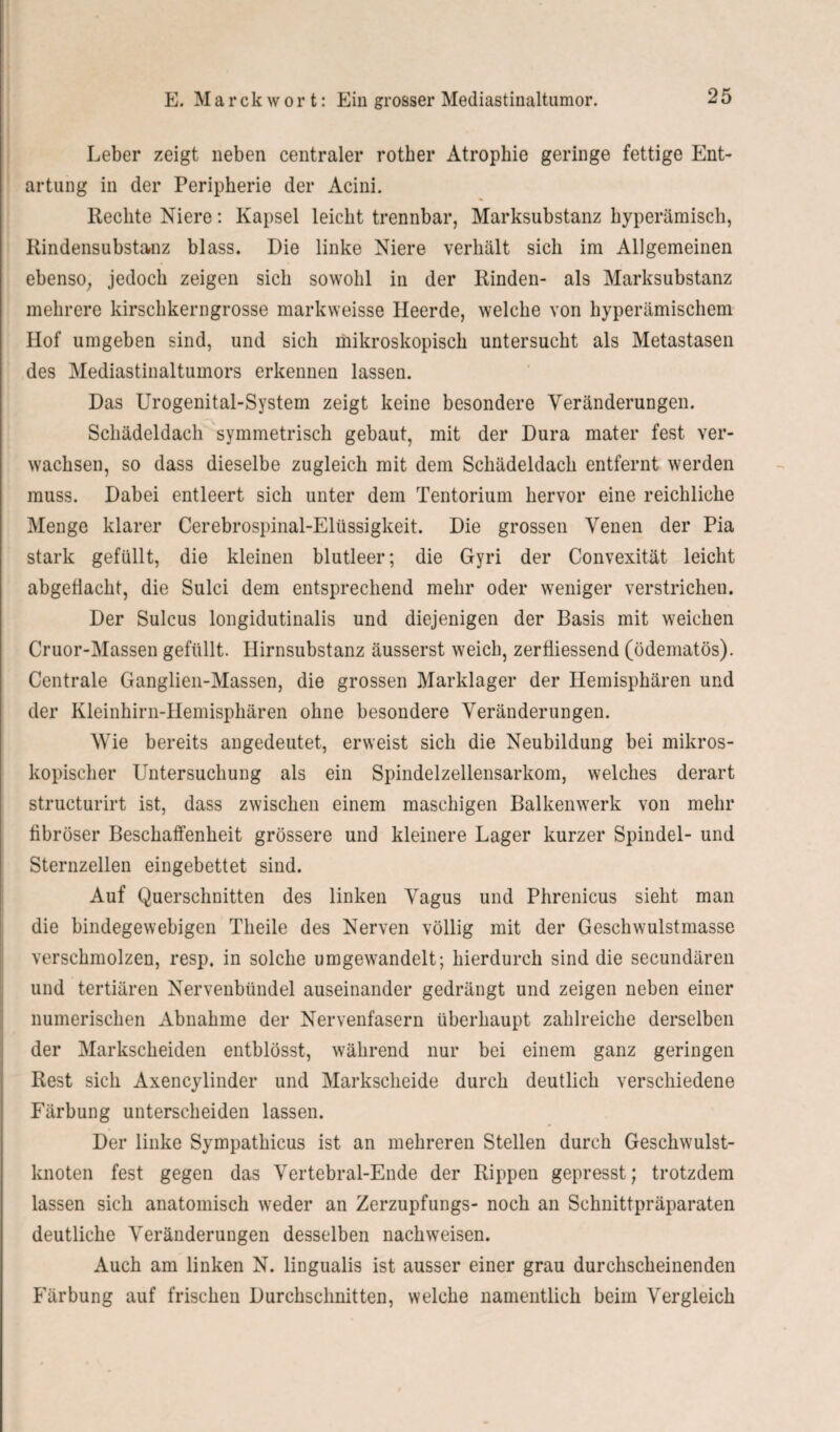 Leber zeigt neben centraler rother Atrophie geringe fettige Ent¬ artung in der Peripherie der Acini. Rechte Niere: Kapsel leicht trennbar, Marksubstanz hyperämisch, Rindensubstanz blass. Die linke Niere verhält sich im Allgemeinen ebenso, jedoch zeigen sich sowohl in der Rinden- als Marksubstanz mehrere kirschkerngrosse markweisse Heerde, welche von hyperämischem Hof umgeben sind, und sich mikroskopisch untersucht als Metastasen des Mediastinaltumors erkennen lassen. Das Urogenital-System zeigt keine besondere Veränderungen. Schädeldach symmetrisch gebaut, mit der Dura mater fest ver¬ wachsen, so dass dieselbe zugleich mit dem Schädeldach entfernt werden muss. Dabei entleert sich unter dem Tentorium hervor eine reichliche Menge klarer Cerebrospinal-Elüssigkeit. Die grossen Venen der Pia stark gefüllt, die kleinen blutleer; die Gyri der Convexität leicht abgeflacht, die Sulci dem entsprechend mehr oder weniger verstrichen. Der Sulcus longidutinalis und diejenigen der Basis mit weichen Cruor-Massen gefüllt. Hirnsubstanz äusserst weich, zerfliessend (ödematös). Centrale Ganglien-Massen, die grossen Marklager der Hemisphären und der Kleinhirn-Hemisphären ohne besondere Veränderungen. Wie bereits angedeutet, erweist sich die Neubildung bei mikros¬ kopischer Untersuchung als ein Spindelzellensarkom, welches derart structurirt ist, dass zwischen einem maschigen Balkenwerk von mehr fibröser Beschaffenheit grössere und kleinere Lager kurzer Spindel- und Sternzellen eingebettet sind. Auf Querschnitten des linken Vagus und Phrenicus sieht man die bindegewebigen Theile des Nerven völlig mit der Geschwulstmasse verschmolzen, resp. in solche umgewandelt; hierdurch sind die secundären und tertiären Nervenbündel auseinander gedrängt und zeigen neben einer numerischen Abnahme der Nervenfasern überhaupt zahlreiche derselben der Markscheiden entblösst, während nur bei einem ganz geringen Rest sich Axencylinder und Markscheide durch deutlich verschiedene Färbung unterscheiden lassen. Der linke Sympathicus ist an mehreren Stellen durch Geschwulst¬ knoten fest gegen das Vertebral-Ende der Rippen gepresst; trotzdem lassen sich anatomisch weder an Zerzupfungs- noch an Schnittpräparaten deutliche Veränderungen desselben nachweisen. Auch am linken N. lingualis ist ausser einer grau durchscheinenden Färbung auf frischen Durchschnitten, welche namentlich beim Vergleich