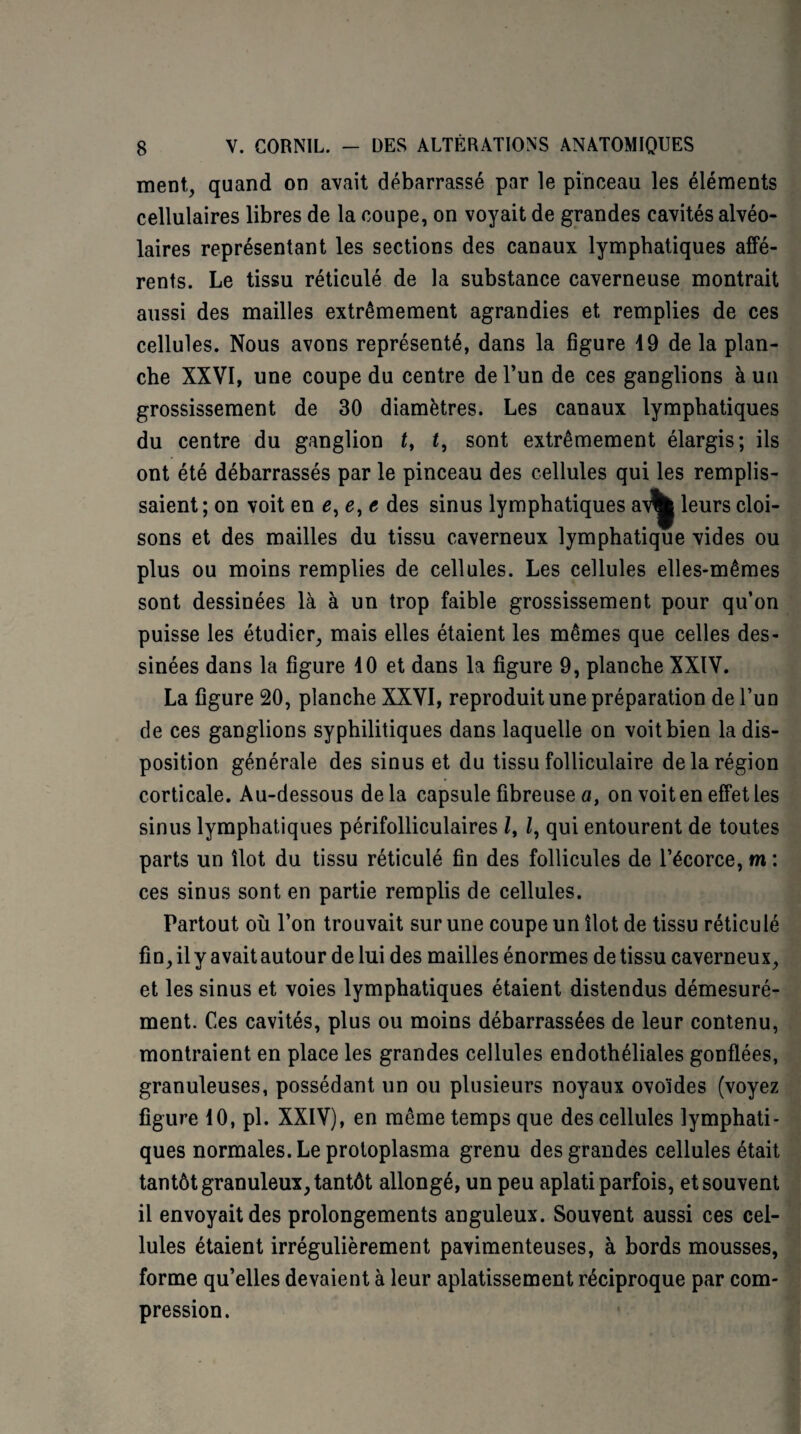 ment, quand on avait débarrassé par le pinceau les éléments cellulaires libres de la coupe, on voyait de grandes cavités alvéo¬ laires représentant les sections des canaux lymphatiques affé¬ rents. Le tissu réticulé de la substance caverneuse montrait aussi des mailles extrêmement agrandies et remplies de ces cellules. Nous avons représenté, dans la figure 19 de la plan¬ che XXVI, une coupe du centre de l’un de ces ganglions à un grossissement de 30 diamètres. Les canaux lymphatiques du centre du ganglion t, t, sont extrêmement élargis; ils ont été débarrassés par le pinceau des cellules qui les remplis¬ saient; on voit en e, e, e des sinus lymphatiques a\^ leurs cloi¬ sons et des mailles du tissu caverneux lymphatique vides ou plus ou moins remplies de cellules. Les cellules elles-mêmes sont dessinées là à un trop faible grossissement pour qu’on puisse les étudier, mais elles étaient les mêmes que celles des¬ sinées dans la figure 10 et dans la figure 9, planche XXIV. La figure 20, planche XXVI, reproduit une préparation de l’un de ces ganglions syphilitiques dans laquelle on voit bien la dis¬ position générale des sinus et du tissu folliculaire de la région corticale. Au-dessous delà capsule fibreuse ay on voit en effet les sinus lymphatiques périfolliculaires Z, Z, qui entourent de toutes parts un îlot du tissu réticulé fin des follicules de l’écorce, m : ces sinus sont en partie remplis de cellules. Partout où l’on trouvait sur une coupe un îlot de tissu réticulé fin, il y avait autour de lui des mailles énormes de tissu caverneux, et les sinus et voies lymphatiques étaient distendus démesuré¬ ment. Ces cavités, plus ou moins débarrassées de leur contenu, montraient en place les grandes cellules endothéliales gonflées, granuleuses, possédant un ou plusieurs noyaux ovoïdes (voyez figure 10, pl. XXIV), en même temps que des cellules lymphati¬ ques normales. Le protoplasma grenu des grandes cellules était tantôt granuleux, tantôt allongé, un peu aplati parfois, et souvent il envoyait des prolongements anguleux. Souvent aussi ces cel¬ lules étaient irrégulièrement pavimenteuses, à bords mousses, forme qu’elles devaient à leur aplatissement réciproque par com¬ pression.