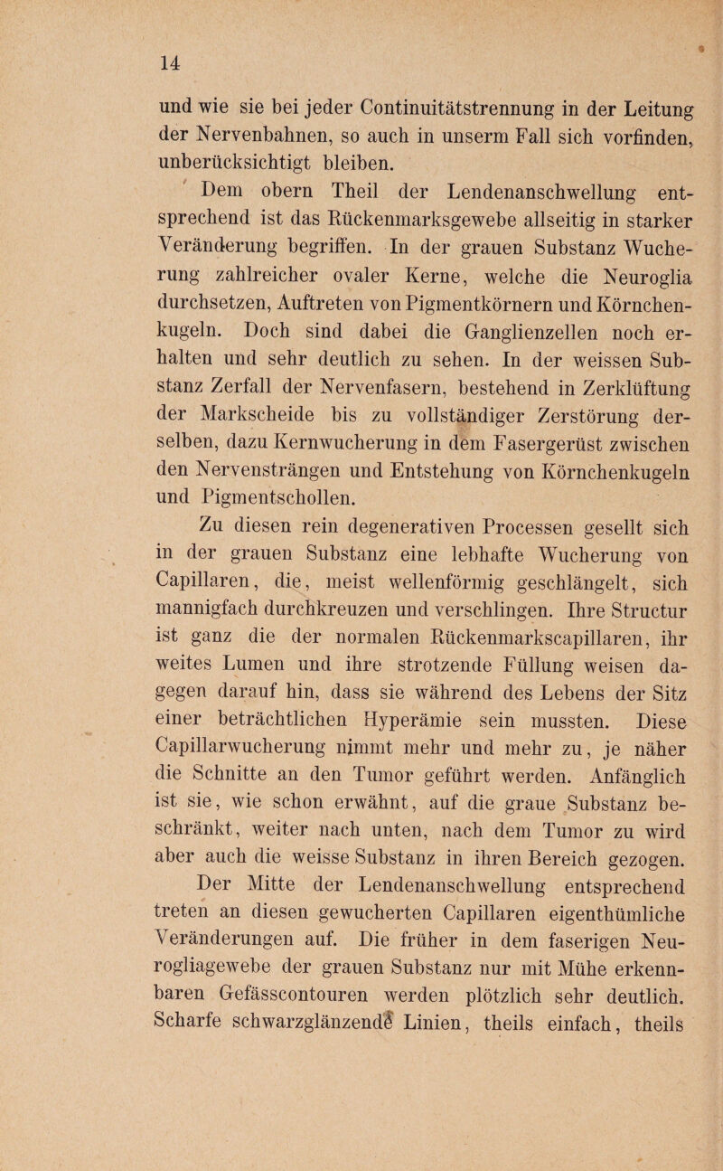 * und wie sie bei jeder Continuitätstrennung in der Leitung der Nervenbahnen, so auch in unserm Fall sich vorfinden, unberücksichtigt bleiben. Dem obern Theil der Lendenanschwellung ent¬ sprechend ist das Rückenmarksgewebe allseitig in starker Veränderung begriffen. In der grauen Substanz Wuche¬ rung zahlreicher ovaler Kerne, welche die Neuroglia durchsetzen, Auftreten von Pigmentkörnern und Körnchen¬ kugeln. Doch sind dabei die Ganglienzellen noch er¬ halten und sehr deutlich zu sehen. In der weissen Sub¬ stanz Zerfall der Nervenfasern, bestehend in Zerklüftung der Markscheide bis zu vollständiger Zerstörung der¬ selben, dazu Kernwucherung in dem Fasergerüst zwischen den Nervensträngen und Entstehung von Körnchenkugeln und Pigmentschollen. Zu diesen rein degenerativen Processen gesellt sich in der grauen Substanz eine lebhafte Wucherung von Capillaren, die, meist wellenförmig geschlängelt, sich mannigfach durchkreuzen und verschlingen. Ihre Structur ist ganz die der normalen Rückenmarkscapillaren, ihr weites Lumen und ihre strotzende Füllung weisen da¬ gegen darauf hin, dass sie während des Lebens der Sitz einer beträchtlichen Hyperämie sein mussten. Diese Capillarwucherung nimmt mehr und mehr zu, je näher die Schnitte an den Tumor geführt werden. Anfänglich ist sie, wie schon erwähnt, auf die graue Substanz be¬ schränkt, weiter nach unten, nach dem Tumor zu wird aber auch die weisse Substanz in ihren Bereich gezogen. Der Mitte der Lendenanschwellung entsprechend treten an diesen gewucherten Capillaren eigenthümliche Veränderungen auf. Die früher in dem faserigen Neu- rogliagewebe der grauen Substanz nur mit Mühe erkenn¬ baren Gefässcontouren werden plötzlich sehr deutlich. Scharfe schwarzglänzendS Linien, theils einfach, theils