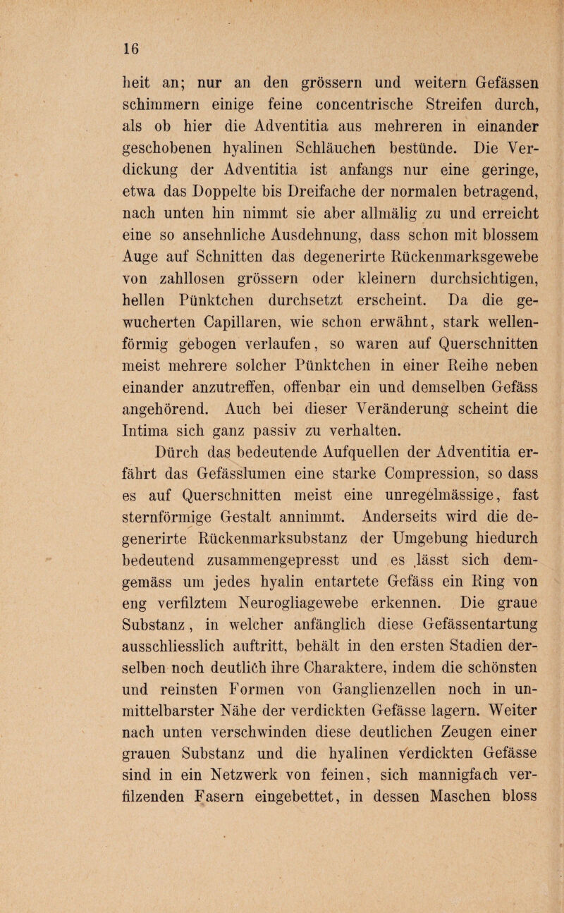 heit an; nur an den grossem und weitern Gefässen schimmern einige feine concentrische Streifen durch, als ob hier die Adventitia aus mehreren in einander geschobenen hyalinen Schläuchen bestünde. Die Ver¬ dickung der Adventitia ist anfangs nur eine geringe, etwa das Doppelte bis Dreifache der normalen betragend, nach unten hin nimmt sie aber allmälig zu und erreicht eine so ansehnliche Ausdehnung, dass schon mit blossem Auge auf Schnitten das degenerirte Rückenmarksgewebe von zahllosen grossem oder kleinern durchsichtigen, hellen Pünktchen durchsetzt erscheint. Da die ge¬ wucherten Capillaren, wie schon erwähnt, stark wellen¬ förmig gebogen verlaufen, so waren auf Querschnitten meist mehrere solcher Pünktchen in einer Reihe neben einander anzutreffen, offenbar ein und demselben Gefäss angehörend. Auch bei dieser Veränderung scheint die Intima sich ganz passiv zu verhalten. Dürch das bedeutende Aufquellen der Adventitia er¬ fährt das Gefässlumen eine starke Compression, so dass es auf Querschnitten meist eine unregelmässige, fast sternförmige Gestalt annimmt. Anderseits wird die de¬ generirte Rückenmarksubstanz der Umgebung hiedurch bedeutend zusammengepresst und es lässt sich dem¬ gemäss um jedes hyalin entartete Gefäss ein Ring von eng verfilztem Neurogliagewebe erkennen. Die graue Substanz, in welcher anfänglich diese Gefässentartung ausschliesslich auftritt, behält in den ersten Stadien der¬ selben noch deutlich ihre Charaktere, indem die schönsten und reinsten Formen von Ganglienzellen noch in un¬ mittelbarster Nähe der verdickten Gefässe lagern. Weiter nach unten verschwinden diese deutlichen Zeugen einer grauen Substanz und die hyalinen verdickten Gefässe sind in ein Netzwerk von feinen, sich mannigfach ver¬ filzenden Fasern eingebettet, in dessen Maschen bloss