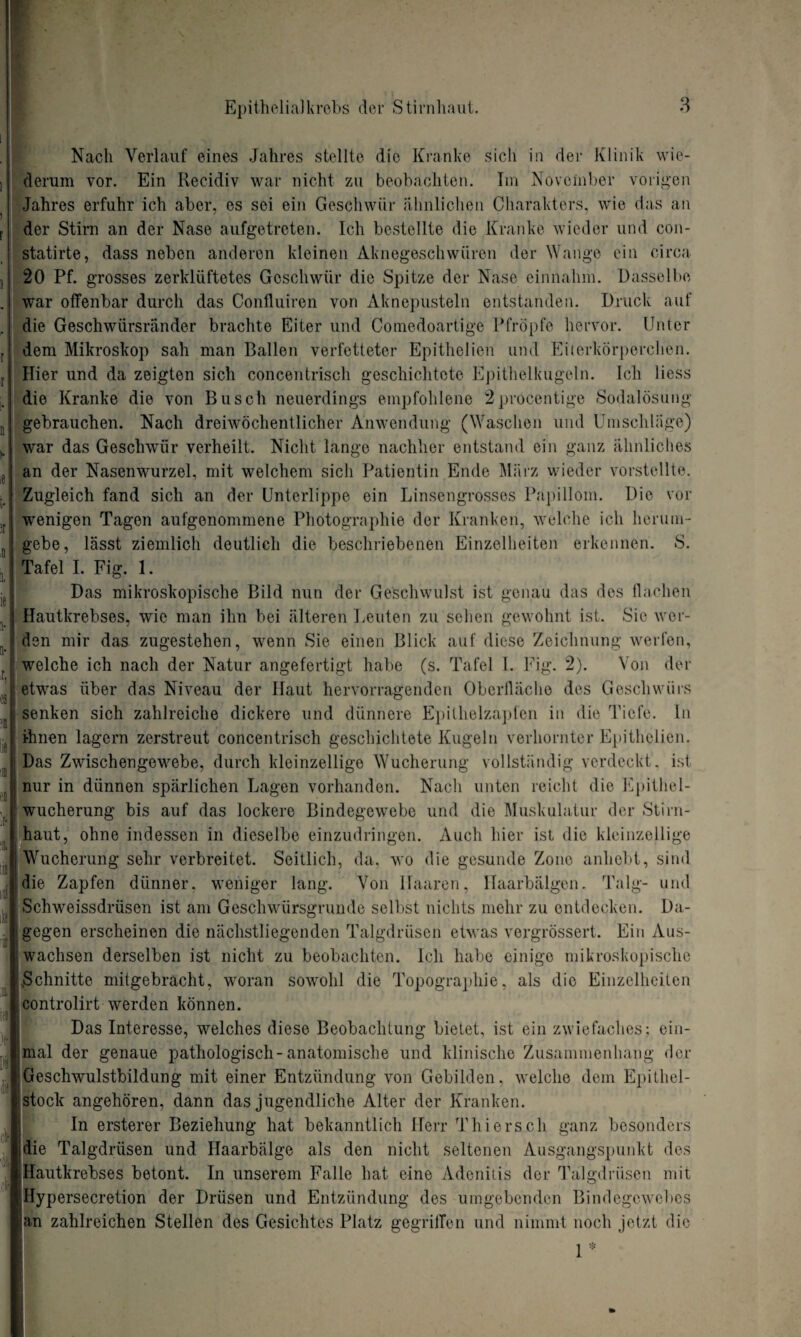 Nach Verlauf eines Jahres stellte die Kranke sich in der Klinik wie¬ derum vor. Ein Recidiv war nicht zu beobachten. Im November vorigen Jahres erfuhr ich aber, es sei ein Geschwür ähnlichen Charakters, wie das an der Stirn an der Nase aufgetreten. Ich bestellte die Kranke wieder und con- statirte, dass neben anderen kleinen Aknegeschwüren der Wange ein circa 20 Pf. grosses zerklüftetes Geschwür die Spitze der Nase einnahm. Dasselbe war offenbar durch das Confluiren von Aknepusteln entstanden. Druck auf die Geschwürsränder brachte Eiter und Comedoartige Pfropfe hervor. Unter dem Mikroskop sah man Ballen verfetteter Epithelien und Eiterkörperchen. Hier und da zeigten sich concentrisch geschichtete Epithelkugeln. Ich Hess die Kranke die von Busch neuerdings empfohlene 2procentige Sodalösung gebrauchen. Nach dreiwöchentlicher Anwendung (Waschen und Umschläge) war das Geschwür verheilt. Nicht lange nachher entstand ein ganz ähnliches an der Naseirwurzel, mit welchem sich Patientin Ende März wieder vorstellte. Zugleich fand sich an der Unterlippe ein Linsengrosses Papillom. Die vor wenigen Tagen aufgenommene Photographie der Kranken, welche ich herum¬ gebe, lässt ziemlich deutlich die beschriebenen Einzelheiten erkennen. S. Tafel I. Fig. 1. Das mikroskopische Bild nun der Geschwulst ist genau das des flachen Hautkrebses, wie man ihn bei älteren Leuten zu sehen gewohnt ist. Sie wer¬ den mir das zugestehen, wenn Sie einen Blick auf diese Zeichnung werfen, welche ich nach der Natur angefertigt habe (s. Tafel I. Fig. 2). Von der etwas über das Niveau der Haut hervorragenden Oberfläche des Geschwürs senken sich zahlreiche dickere und dünnere Epithelzapfen in die Tiefe, ln ihnen lagern zerstreut concentrisch geschichtete Kugeln verhornter Epithelien. Das Zwischengewebe, durch kleinzellige Wucherung vollständig verdeckt, ist nur in dünnen spärlichen Lagen vorhanden. Nach unten reicht die Epithel¬ wucherung bis auf das lockere Bindegewebe und die Muskulatur der Stirn¬ haut, ohne indessen in dieselbe einzudringen. Auch hier ist die kleinzellige Wucherung sehr verbreitet. Seitlich, da, wo die gesunde Zone anhebt, sind die Zapfen dünner, weniger lang. Von Haaren, Haarbälgen. Talg- und Schweissdrüsen ist am Geschwürsgrunde selbst nichts mehr zu entdecken. Da¬ gegen erscheinen die nächstliegenden Talgdrüsen etwas vergrössert. Ein Aus¬ wachsen derselben ist nicht zu beobachten. Ich habe einige mikroskopische .Schnitte mitgebracht, woran sowohl die Topographie, als die Einzelheiten controlirt werden können. Das Interesse, welches diese Beobachtung bietet, ist ein zwiefaches; ein¬ mal der genaue pathologisch-anatomische und klinische Zusammenhang der Geschwulstbildung mit einer Entzündung von Gebilden, welche dem Epithel¬ stock angehören, dann das jugendliche Alter der Kranken. In ersterer Beziehung hat bekanntlich Herr Thiersch ganz besonders ie Talgdrüsen und Haarbälge als den nicht seltenen Ausgangspunkt des autkrebses betont. In unserem Falle hat eine Adenitis der Talgdrüsen mit Hypersecretion der Drüsen und Entzündung des umgebenden Bindegewebes an zahlreichen Stellen des Gesichtes Platz gegriffen und nimmt noch jetzt die 1