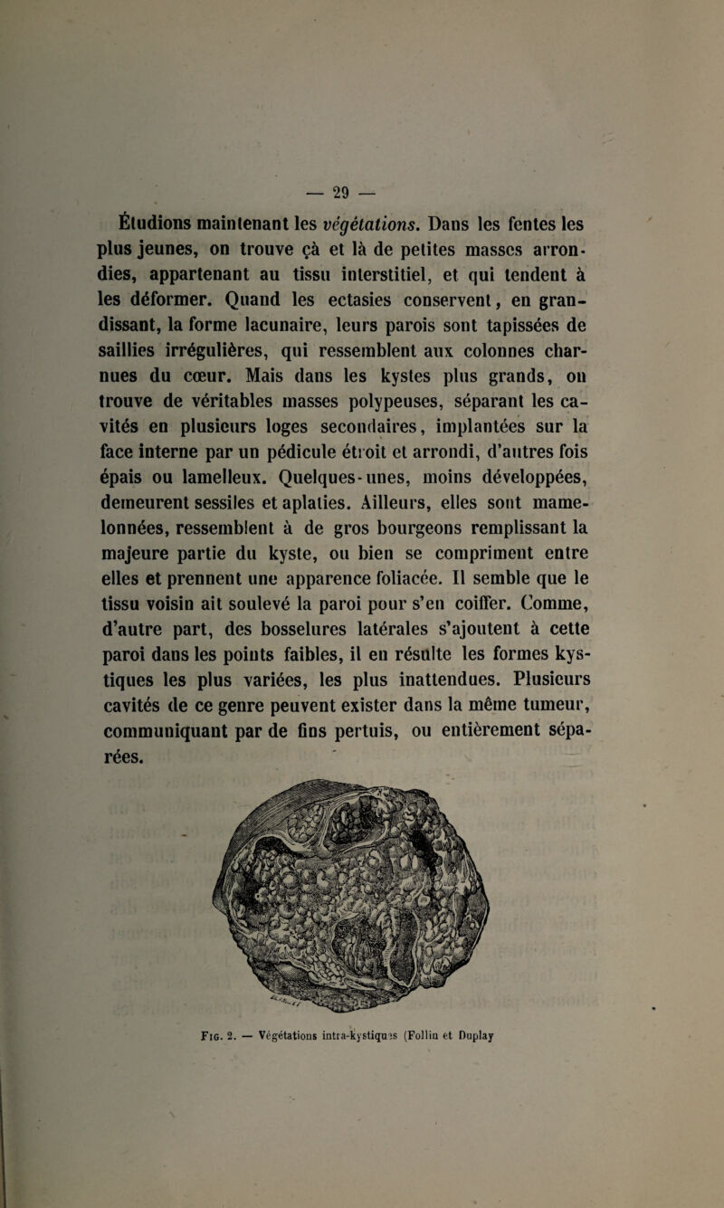 Éludions maintenant les végétations. Dans les fentes les plus jeunes, on trouve çà et là de petites masses arron¬ dies, appartenant au tissu interstitiel, et qui tendent à les déformer. Quand les ectasies conservent, en gran¬ dissant, la forme lacunaire, leurs parois sont tapissées de saillies irrégulières, qui ressemblent aux colonnes char¬ nues du cœur. Mais dans les kystes plus grands, on trouve de véritables masses polypeuses, séparant les ca¬ vités en plusieurs loges secondaires, implantées sur la face interne par un pédicule étroit et arrondi, d’autres fois épais ou lamelleux. Quelques-unes, moins développées, demeurent sessiles et aplaties. Ailleurs, elles sont mame¬ lonnées, ressemblent à de gros bourgeons remplissant la majeure partie du kyste, ou bien se compriment entre elles et prennent une apparence foliacée. Il semble que le tissu voisin ait soulevé la paroi pour s’en coiffer. Comme, d’autre part, des bosselures latérales s’ajoutent à cette paroi dans les points faibles, il en résulte les formes kys¬ tiques les plus variées, les plus inattendues. Plusieurs cavités de ce genre peuvent exister dans la même tumeur, communiquant par de fins pertuis, ou entièrement sépa¬ rées. Fig. 2. — Végétations intra-kystiques (Follin et Duplay