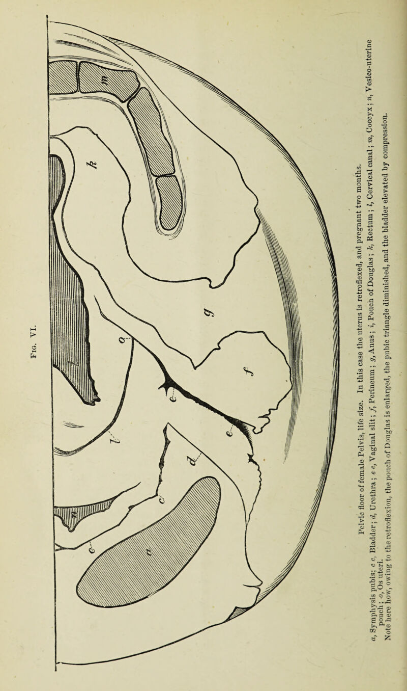 Fig. VI. <D C o © © > X © o cc rC •4-3 rj O s -♦-» 4-J • c PS o3 PS a P3 -4-3 bO © © © £-c P4 r© c5 cn T3 cS © T) X © o tzS o Q *4 c*-« -*-> © O S-< .rs cc © S3 cc O d p* *cc C/2 © Cu a o a rQ © o3 > © r4 S-t © T3 c3 .Q © c3 © T > £4 © © TS ps c3 © .s *3 ^3 © To cr © cc P3 £ ◄ © s 5*. © ps 2 »-< d © • d © ^ .a s © be S- ce 3 © cc o3 T PS © • r-4 fcJO d o3 © f> c3 a ■*> .© • #% d %« 0 pPS u -*-» 0 © 0 S-4 sp S3 © *> © *-l d © '’d T3 e5 > * d C/2 ci To o Q © c X © tlS o v S3 *> |”o tf .2 9 o C/2 © •§.§ S3 g o ft ’© -4-) o m