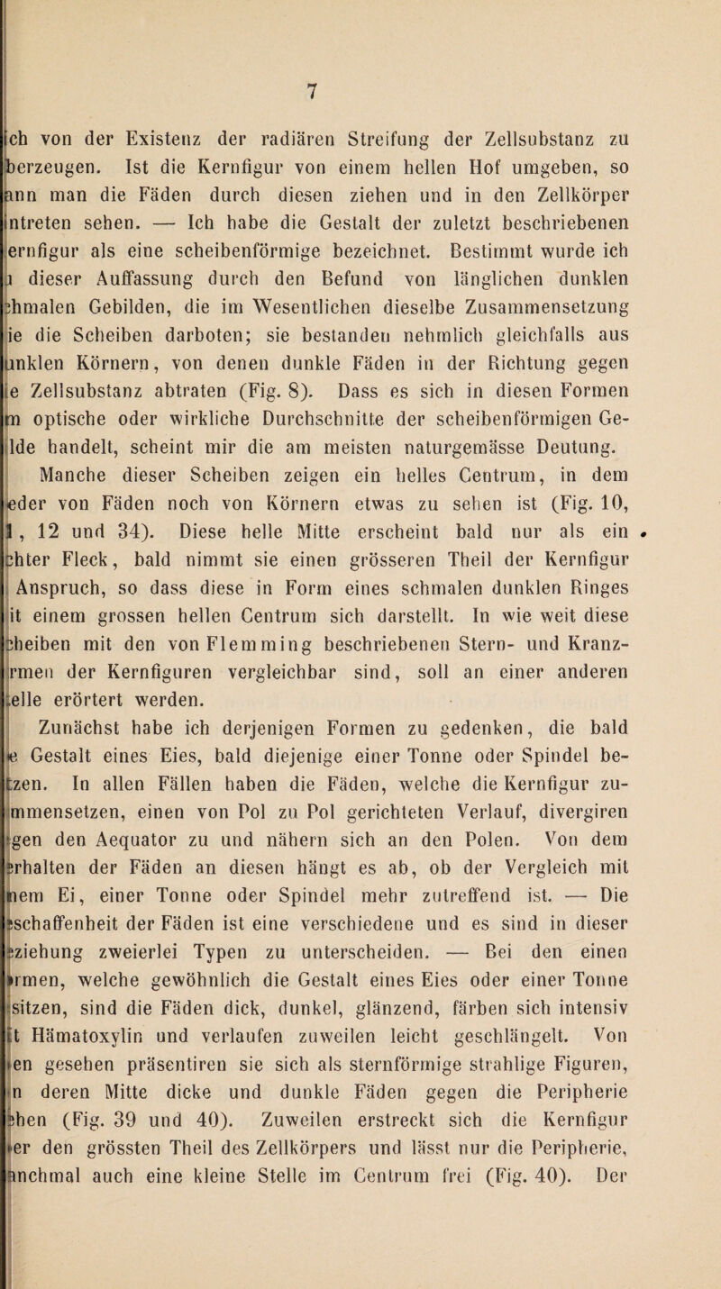 ich von der Existenz der radiären Streifung der Zellsubstanz zu berzeugen. Ist die Kernfigur von einem bellen Hof umgeben, so nnn man die Fäden durch diesen ziehen und in den Zellkörper intreten sehen. — Ich habe die Gestalt der zuletzt beschriebenen jernfigur als eine scheibenförmige bezeichnet. Bestimmt wurde ich j dieser Auffassung durch den Befund von länglichen dunklen 3hmaien Gebilden, die im Wesentlichen dieselbe Zusammensetzung jjie die Scheiben darboten; sie bestanden nehmlich gleichfalls aus unklen Körnern, von denen dunkle Fäden in der Richtung gegen ie Zellsubstanz abtraten (Fig. 8). Dass es sich in diesen Formen m optische oder wirkliche Durchschnitte der scheibenförmigen Ge- lde handelt, scheint mir die am meisten naturgemässe Deutung. Manche dieser Scheiben zeigen ein helles Centrum, in dem eder von Fäden noch von Körnern etwas zu sehen ist (Fig. 10, 3, 12 und 34). Diese helle Mitte erscheint bald nur als ein . chfcer Fleck, bald nimmt sie einen grösseren Theil der Kernfigur Anspruch, so dass diese in Form eines schmalen dunklen Ringes it einem grossen hellen Gentrum sich darstellt. In wie weit diese sheiben mit den vonFlemming beschriebenen Stern- und Kranz- rmen der Kernfiguren vergleichbar sind, soll an einer anderen „eile erörtert werden. Zunächst habe ich derjenigen Formen zu gedenken, die bald <e Gestalt eines Eies, bald diejenige einer Tonne oder Spindel be¬ izen. In allen Fällen haben die Fäden, welche die Kernfigur zu- mmensetzen, einen von Pol zu Pol gerichteten Verlauf, divergiren ‘gen den Aequator zu und nähern sich an den Polen. Von dem srhalten der Fäden an diesen hängt es ab, ob der Vergleich mit nem Ei, einer Tonne oder Spindel mehr zutreffend ist. —- Die sschaffenheit der Fäden ist eine verschiedene und es sind in dieser sziehung zweierlei Typen zu unterscheiden. — Bei den einen irmen, welche gewöhnlich die Gestalt eines Eies oder einer Tonne sitzen, sind die Fäden dick, dunkel, glänzend, färben sich intensiv It Hämatoxylin und verlaufen zuweilen leicht geschlängelt. Von ►en gesehen präsentiren sie sich als sternförmige strahlige Figuren, n deren Mitte dicke und dunkle Fäden gegen die Peripherie shen (Fig. 39 und 40). Zuweilen erstreckt sich die Kernfigur »er den grössten Theil des Zellkörpers und lässt nur die Peripherie, unchmal auch eine kleine Stelle im Gentrum frei (Fig. 40). Der