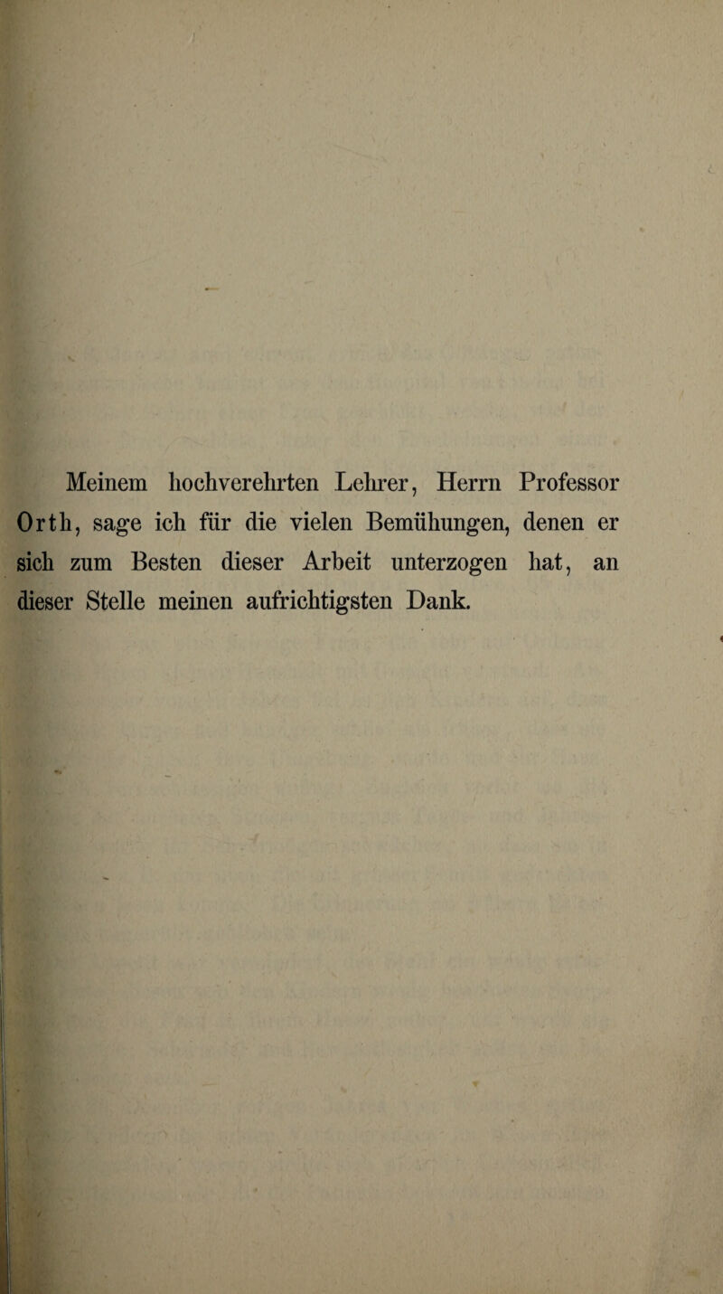 Meinem hochverehrten Lehrer, Herrn Professor Orth, sage ich für die vielen Bemühungen, denen er sich zum Besten dieser Arbeit unterzogen hat, an dieser Stelle meinen aufrichtigsten Dank.