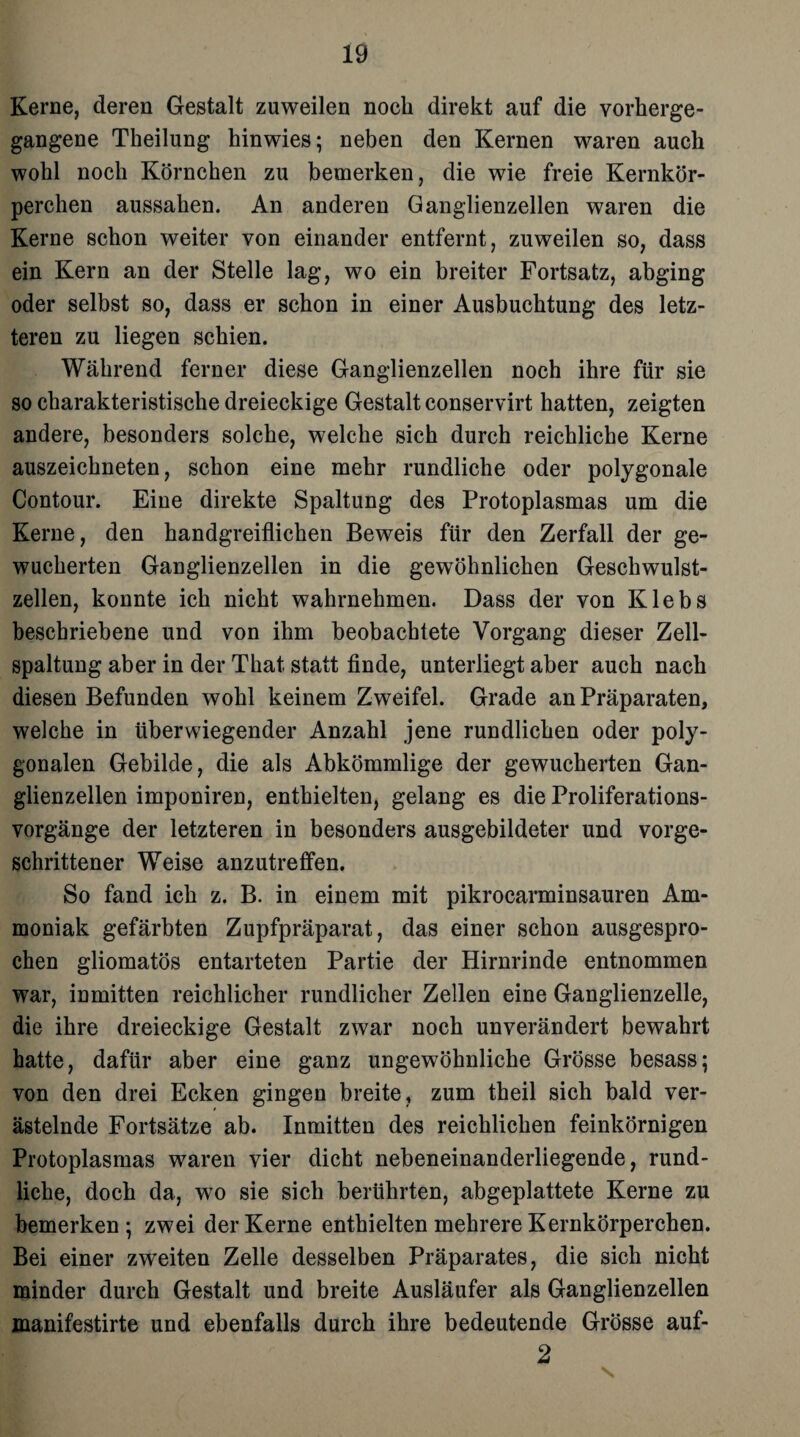 Kerne, deren Gestalt zuweilen noch direkt auf die vorkerge- gangene Tkeilung hinwies; neben den Kernen waren auch wohl noch Körnchen zu bemerken, die wie freie Kernkör¬ perchen aussahen. An anderen Ganglienzellen waren die Kerne schon weiter von einander entfernt, zuweilen so, dass ein Kern an der Stelle lag, wo ein breiter Fortsatz, abging oder selbst so, dass er schon in einer Ausbuchtung des letz¬ teren zu liegen schien. Während ferner diese Ganglienzellen noch ihre für sie so charakteristische dreieckige Gestalt conservirt hatten, zeigten andere, besonders solche, welche sich durch reichliche Kerne auszeichneten, schon eine mehr rundliche oder polygonale Contour. Eine direkte Spaltung des Protoplasmas um die Kerne, den handgreiflichen Beweis für den Zerfall der ge¬ wucherten Ganglienzellen in die gewöhnlichen Geschwulst¬ zellen, konnte ich nicht wahrnehmen. Dass der von Klebs beschriebene und von ihm beobachtete Vorgang dieser Zell¬ spaltung aber in der Tkat, statt finde, unterliegt aber auch nach diesen Befunden wohl keinem Zweifel. Grade an Präparaten, welche in überwiegender Anzahl jene rundlichen oder poly¬ gonalen Gebilde, die als Abkömmlige der gewucherten Gan¬ glienzellen imponiren, enthielten, gelang es die Proliferations¬ vorgänge der letzteren in besonders ausgebildeter und vorge¬ schrittener Weise anzutreffen. So fand ich z. B. in einem mit pikrocarminsauren Am¬ moniak gefärbten Zupfpräparat, das einer schon ausgespro¬ chen gliomatös entarteten Partie der Hirnrinde entnommen war, inmitten reichlicher rundlicher Zellen eine Ganglienzelle, die ihre dreieckige Gestalt zwar noch unverändert bewahrt hatte, dafür aber eine ganz ungewöhnliche Grösse besass; von den drei Ecken gingen breite, zum theil sich bald ver¬ ästelnde Fortsätze ab. Inmitten des reichlichen feinkörnigen Protoplasmas waren vier dicht nebeneinanderliegende, rund¬ liche, doch da, wo sie sich berührten, abgeplattete Kerne zu bemerken; zwei der Kerne enthielten mehrere Kernkörperchen. Bei einer zweiten Zelle desselben Präparates, die sich nicht minder durch Gestalt und breite Ausläufer als Ganglienzellen manifestirte und ebenfalls durch ihre bedeutende Grösse auf- 2