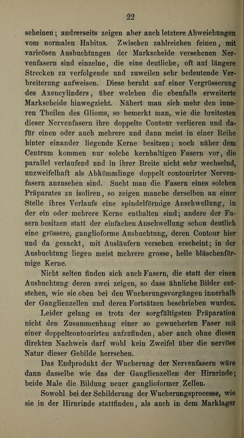 scheinen; andrerseits zeigen aber auch letztere Abweichungen vom normalen Habitus. Zwischen zahlreichen feinen, mit varicösen Ausbuchtungen der Markscheide versehenen Ner¬ venfasern sind einzelne, die eine deutliche, oft auf längere Strecken zu verfolgende und zuweilen sehr bedeutende Ver¬ breiterung aufweisen. Diese beruht auf einer Vergrösserung des Axencylinders, über welchen die ebenfalls erweiterte Markscheide hinwegzieht. Nähert man sich mehr den inne¬ ren Tlieilen des Glioms, so bemerkt man, wie die breitesten dieser Nervenfasern ihre doppelte Contour verlieren und da¬ für einen oder auch mehrere und dann meist in einer Reihe hinter einander liegende Kerne besitzen; noch näher dem Centrum kommen nur solche kernhaltigen Fasern vor, die parallel verlaufend und in ihrer Breite nicht sehr wechselnd, unzweifelhaft als Abkömmlinge doppelt contourirter Nerven¬ fasern anzusehen sind. Sucht man die Fasern eines solchen Präparates zu isoliren, so zeigen manche derselben an einer Stelle ihres Verlaufs eine spindelförmige Anschwellung, in der ein oder mehrere Kerne enthalten sind; andere der Fa¬ sern besitzen statt der einfachen Anschwellung schon deutlich eine grössere, ganglioforme Ausbuchtung, deren Contour hier und da gezackt, mit Ausläufern versehen erscheint; in der Ausbuchtung liegen meist mehrere grosse, helle bläschenför¬ mige Kerne. Nicht selten finden sich auch Fasern, die statt der einen Ausbuchtung deren zwei zeigen, so dass ähnliche Bilder ent¬ stehen, wie sie oben bei den Wucherungsvorgängen innerhalb der Ganglienzellen und deren Fortsätzen beschrieben wurden. Leider gelang es trotz der sorgfältigsten Präparation nicht den Zusammenhang einer so gewucherten Faser mit einer doppeltcontourirten aufzufinden, aber auch ohne diesen direkten Nachweis darf wohl kein Zweifel über die nervöse Natur dieser Gebilde herrschen. Das Endprodukt der Wucherung der Nervenfasern wäre dann dasselbe wie das der Ganglienzellen der Hirnrinde; beide Male die Bildung neuer ganglioformer Zellen. Sowohl bei der Schilderung der Wucheruogsprocesse, wie sie in der Hirnrinde stattfinden, als auch in dem Marklager