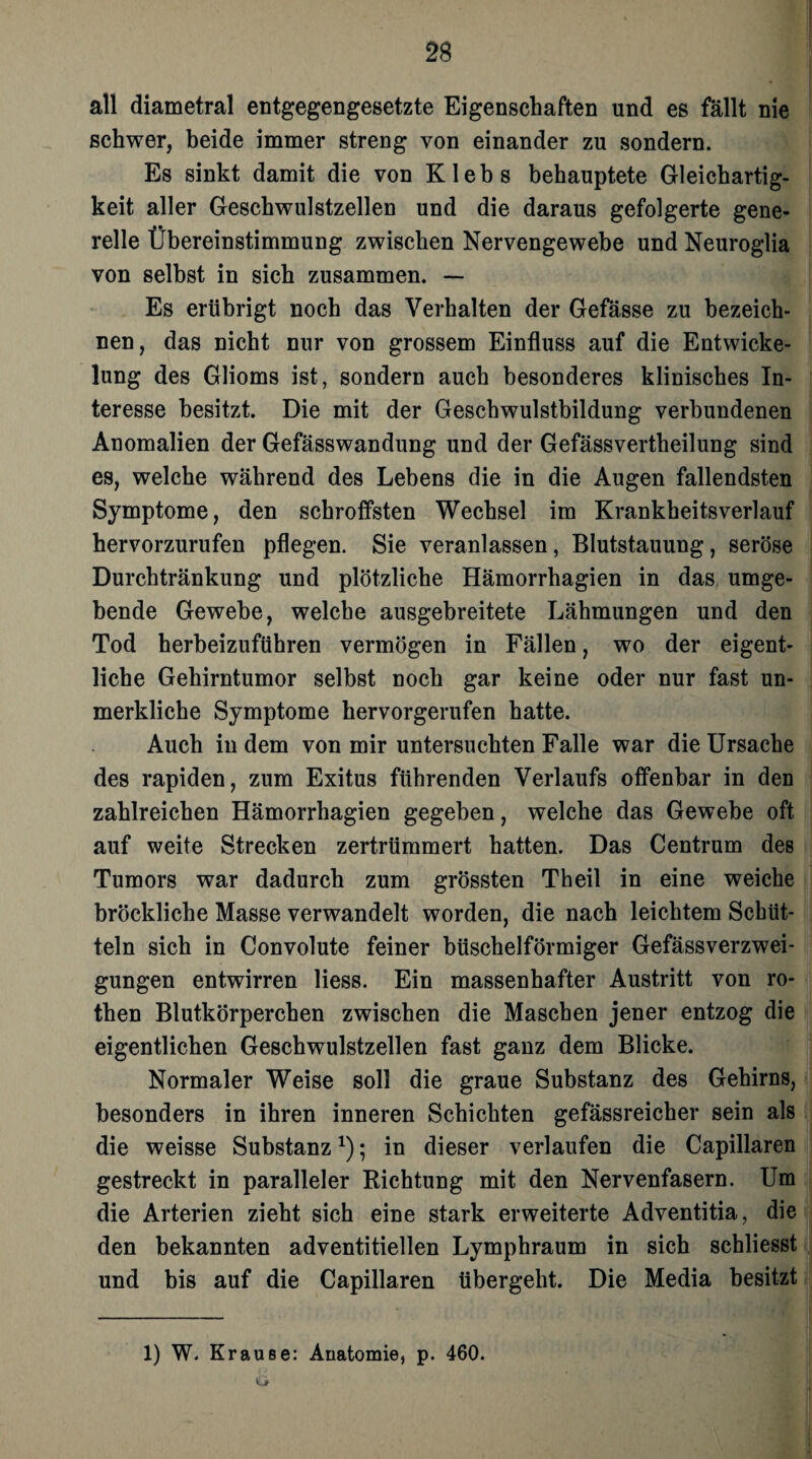 all diametral entgegengesetzte Eigenschaften und es fällt nie schwer, beide immer streng von einander zu sondern. Es sinkt damit die von Klebs behauptete Gleichartig¬ keit aller Geschwulstzellen und die daraus gefolgerte gene¬ relle Übereinstimmung zwischen Nervengewebe und Neuroglia von selbst in sich zusammen. — Es erübrigt noch das Verhalten der Gefässe zu bezeich¬ nen, das nicht nur von grossem Einfluss auf die Entwicke¬ lung des Glioms ist, sondern auch besonderes klinisches In¬ teresse besitzt. Die mit der Geschwulstbildung verbundenen Anomalien der Gefässwandung und der Gefässvertheilung sind es, welche während des Lebens die in die Augen fallendsten Symptome, den schroffsten Wechsel im Krankheitsverlauf hervorzurufen pflegen. Sie veranlassen, Blutstauung, seröse Durchtränkung und plötzliche Hämorrhagien in das umge¬ bende Gewebe, welche ausgebreitete Lähmungen und den Tod herbeizuführen vermögen in Fällen, wo der eigent¬ liche Gehirntumor selbst noch gar keine oder nur fast un¬ merkliche Symptome hervorgerufen hatte. Auch in dem von mir untersuchten Falle war die Ursache des rapiden, zum Exitus führenden Verlaufs offenbar in den zahlreichen Hämorrhagien gegeben, welche das Gewebe oft auf weite Strecken zertrümmert hatten. Das Centrum des Tumors war dadurch zum grössten Theil in eine weiche bröckliche Masse verwandelt worden, die nach leichtem Schüt¬ teln sich in Convolute feiner büschelförmiger Gefässverzwei- gungen entwirren Hess. Ein massenhafter Austritt von ro- then Blutkörperchen zwischen die Maschen jener entzog die eigentlichen Geschwulstzellen fast ganz dem Blicke. Normaler Weise soll die graue Substanz des Gehirns, besonders in ihren inneren Schichten gefässreicher sein als die weisse Substanz*); in dieser verlaufen die Capillaren gestreckt in paralleler Richtung mit den Nervenfasern. Um die Arterien zieht sich eine stark erweiterte Adventitia, die den bekannten adventitiellen Lymphraum in sich schliesst und bis auf die Capillaren übergeht. Die Media besitzt 1) W. Krause: Anatomie, p. 460.