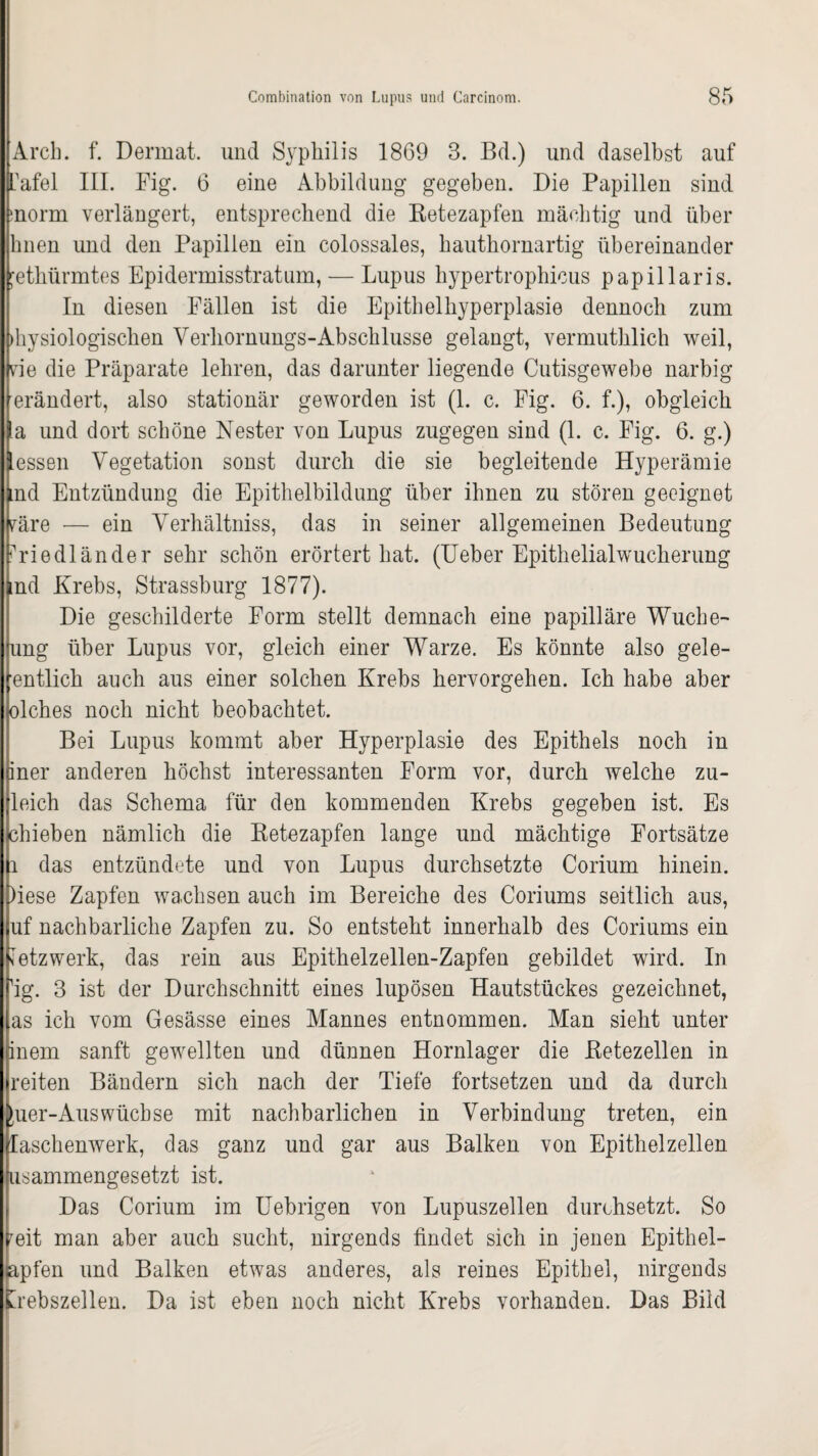 Arch. f. Dermat. und Syphilis 1869 3. Bd.) und daselbst auf Tafel III. Fig. 6 eine Abbildung gegeben. Die Papillen sind »norm verlängert, entsprechend die Retezapfen mächtig und über hnen und den Papillen ein colossales, hauthornartig übereinander 'ethürmtes Epidermisstratum, — Lupus hypertrophicus papillaris. In diesen Fällen ist die Epithelhyperplasie dennoch zum »hysiologischen Verhornungs-Abschlüsse gelangt, vermuthlich weil, vie die Präparate lehren, das darunter liegende Cutisgewebe narbig erändert, also stationär geworden ist (1. c. Fig. 6. f.), obgleich la und dort schöne Nester von Lupus zugegen sind (1. c. Fig. 6. g.) essen Vegetation sonst durch die sie begleitende Hyperämie nd Entzündung die Epithelbildung über ihnen zu stören geeignet päre — ein Verhältnis, das in seiner allgemeinen Bedeutung iTiedländer sehr schön erörtert hat. (Ueber Epithelialwucherung nd Krebs, Strassburg 1877). Die geschilderte Form stellt demnach eine papilläre Wuche- ung über Lupus vor, gleich einer Warze. Es könnte also gele¬ gentlich auch aus einer solchen Krebs hervorgehen. Ich habe aber olches noch nicht beobachtet. Bei Lupus kommt aber Hyperplasie des Epithels noch in iner anderen höchst interessanten Form vor, durch welche zu- leich das Schema für den kommenden Krebs gegeben ist. Es chieben nämlich die Retezapfen lange und mächtige Fortsätze i das entzündete und von Lupus durchsetzte Corium hinein. )iese Zapfen wachsen auch im Bereiche des Coriums seitlich aus, uf nachbarliche Zapfen zu. So entsteht innerhalb des Coriums ein Netzwerk, das rein aus Epithelzellen-Zapfen gebildet wird. In hg. 3 ist der Durchschnitt eines lupösen Hautstückes gezeichnet, as ich vom Gesässe eines Mannes entnommen. Man sieht unter inem sanft gewellten und dünnen Hornlager die Retezellen in reiten Bändern sich nach der Tiefe fortsetzen und da durch hier-Aus wüchse mit nachbarlichen in Verbindung treten, ein laschenwerk, das ganz und gar aus Balken von Epithelzellen usammengesetzt ist. Das Corium im Uebrigen von Lupuszellen durchsetzt. So reit man aber auch sucht, nirgends findet sich in jenen Epithel- apfen und Balken etwas anderes, als reines Epithel, nirgends Krebszellen. Da ist eben noch nicht Krebs vorhanden. Das Bild