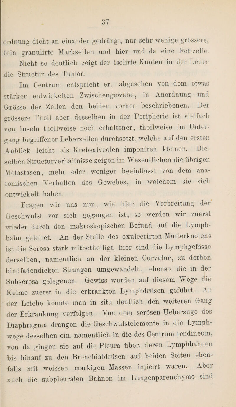 Ordnung dicht an einander gedrängt, nur sehr wenige grössere, fein granulirte Markzellen und hier und da eine Fettzelle. Nicht so deutlich zeigt der isolirte Knoten in der Leber die Structur des Tumor. Im Centrum entspricht er, abgesehen von dem etwas stärker entwickelten Zwischengewebe, in Anordnung und Grösse der Zellen den beiden vorher beschriebenen. Der grössere Theil aber desselben in der Peripherie ist vielfach von Inseln theilweise noch erhaltener, theilweise im Unter¬ gang begriffener Leberzellen durchsetzt, welche auf den ersten Anblick leicht als Krebsalveolen imponiren können. Die¬ selben Structurverhältnisse zeigen im Wesentlichen die übrigen Metastasen, mehr oder weniger beeinflusst von dem ana¬ tomischen Yerhalten des Gewebes, in welchem sie sich entwickelt haben. Fragen wir uns nun, wie hier die Verbreitung der Geschwulst vor sich gegangen ist, so werden wir zuerst wieder durch den makroskopischen Befund auf die Lvmph- bahn geleitet. An der Stelle des exulcerirten Mutterknotens ist die Serosa stark mitbetkeiligt, hier sind die Lymphgefässe derselben, namentlich an der kleinen Curvatur, zu derben bindfadendicken Strängen umgewandelt, ebenso die in der Bubserosa gelegenen. Gewiss wurden auf diesem Wege die Keime zuerst in die erkrankten Lymphdrüsen geführt. An der Leiche konnte man in situ deutlich den weiteren Gang der Erkrankung verfolgen. Von dem serösen ITeberzuge des Diaphragma drangen die Geschwulstelemente in die Lymph- wege desselben ein, namentlich in die des Centrum tendineum, von da gingen sie auf die Pleura über, deren Lvmphbahnen bis hinauf zu den Bronchialdrüsen auf beiden Seiten eben¬ falls mit weissen markigen Massen injicirt waren. Abei .auch die subpleuralen Bahnen im Lungenparenchyme sind