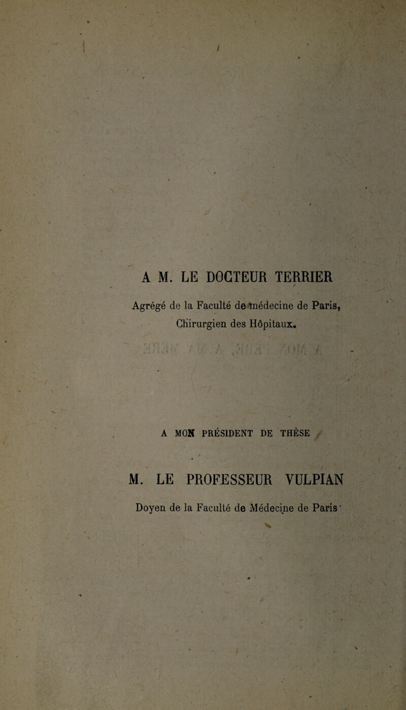 / ft A M. LE DOCTEUR TERRIER / \ Agrégé de la Faculté de médecine de Paris, Chirurgien des Hôpitaux, f ' > i r t t 4 A MON PRÉSIDENT DE THÈSE M. LE PROFESSEUR VULPIAN Doyen de la Faculté de Médecine de Paris*