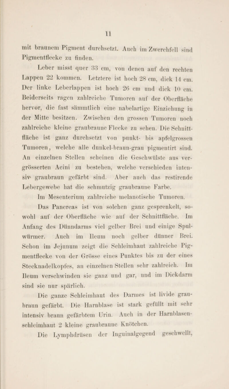 mit braunem Pigment durchsetzt. Auch im Zwerchfell sind Pigmentflecke zu finden. Lebei misst quer *13 cm, von denen auf den rechten Lappen 22 kommen. Letztere ist hoch 28 cm, dick 14 cm. Der linke Leberlappen ist hoch 2b cm und dick 10 cm. Beiderseits ragen zahlreiche Tumoren auf der Oberfläche hervor, die fast sämmtlich eine nabelartige Einziehung in der Mitte besitzen. Zwischen den grossen rumoren noch zahlreiche kleine graubraune Flecke zu sehen. Die Schnitt¬ fläche ist ganz durchsetzt von punkt- bis apfelgrossen Tumoren, welche alle dunkel-braun-grau pigmentirt sind. An einzelnen Stellen scheinen die Geschwülste aus ver- grösserten Acini zu bestehen, welche verschieden inten¬ siv* graubraun gefärbt sind. Aber auch das restirende Lebergewebe hat die schmutzig graubraune Farbe. Im Mesenterium zahlreiche melanotische Tumoren. Das Pancreas ist von solchen ganz gesprenkelt, so¬ wohl auf der Oberfläche wie auf der Schnittfläche. Im Anfang des Dünndarms viel gelber Brei und einige Spul¬ würmer. Auch im lleum noch gelber dünner Brei. Schon im Jejunum zeigt die Schleimhaut zahlreiche Pig¬ mentflecke von der Grösse eines Punktes bis zu der eines Stecknadelkopfes, an einzelnen Stellen sehr zahlreich. Im lleum verschwinden sie ganz und gar, und im Dickdarm sind sie nur spärlich. Die ganze Schleimhaut des Darmes ist livide grau¬ braun gefärbt. Die Harnblase ist stark gefüllt mit sehr intensiv braun gefärbtem Urin. Auch in der Harnblasen- Schleimhaut 2 kleine graubraune Knötchen. Die Lymphdriisen der Inguinalgegend geschwellt,